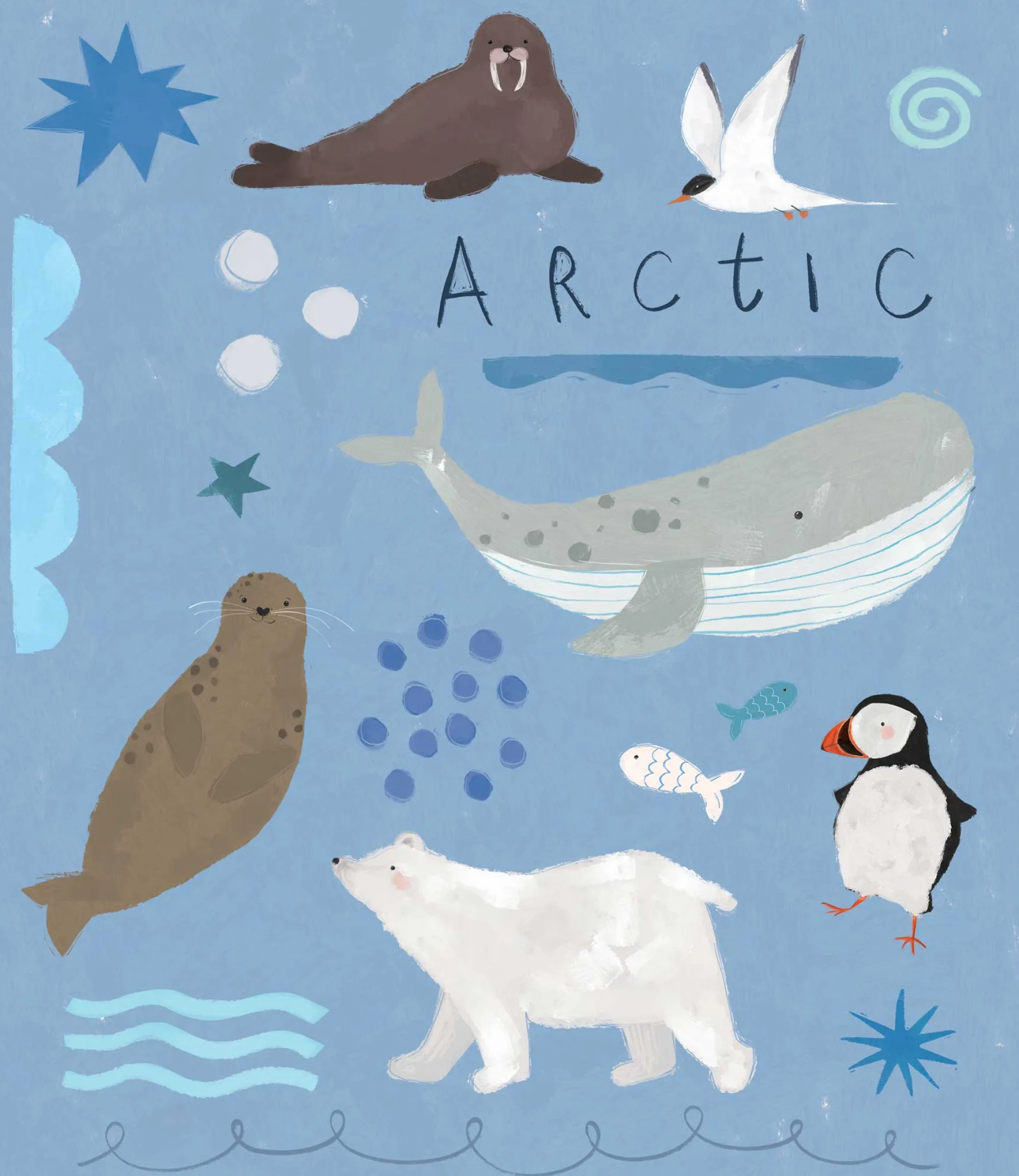 Wild Wonders|Animal*Whistlefish Arctic Explorers Small Framed Print