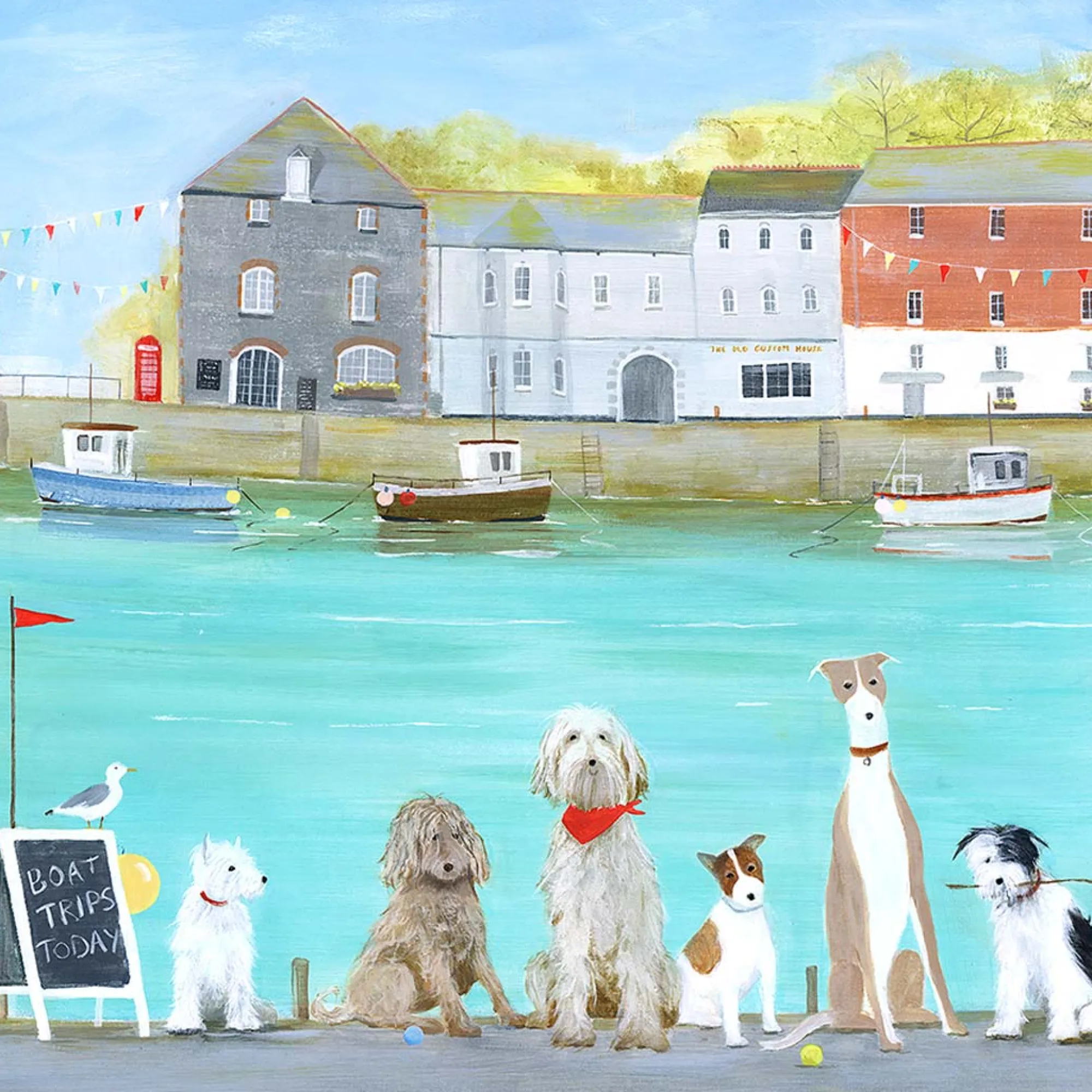 Padstow|Cornwall*Whistlefish Boat Trip Medium Framed Print
