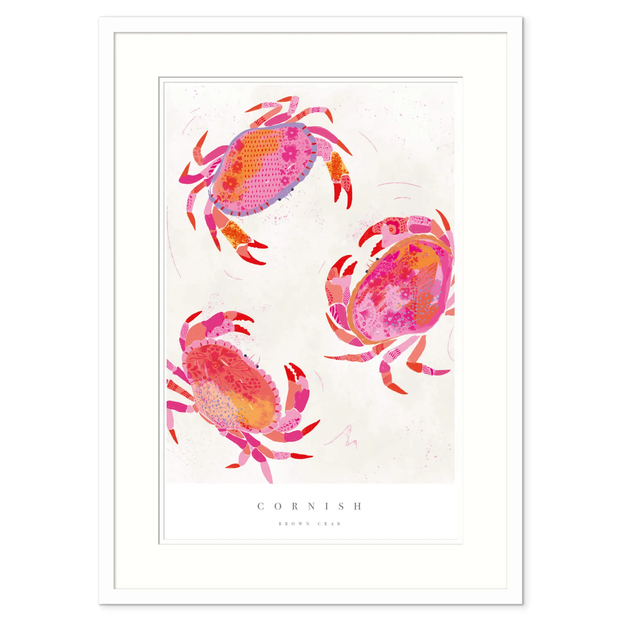 Sea Creatures|Framed Prints*Whistlefish Cornish Crabs Large Framed Print