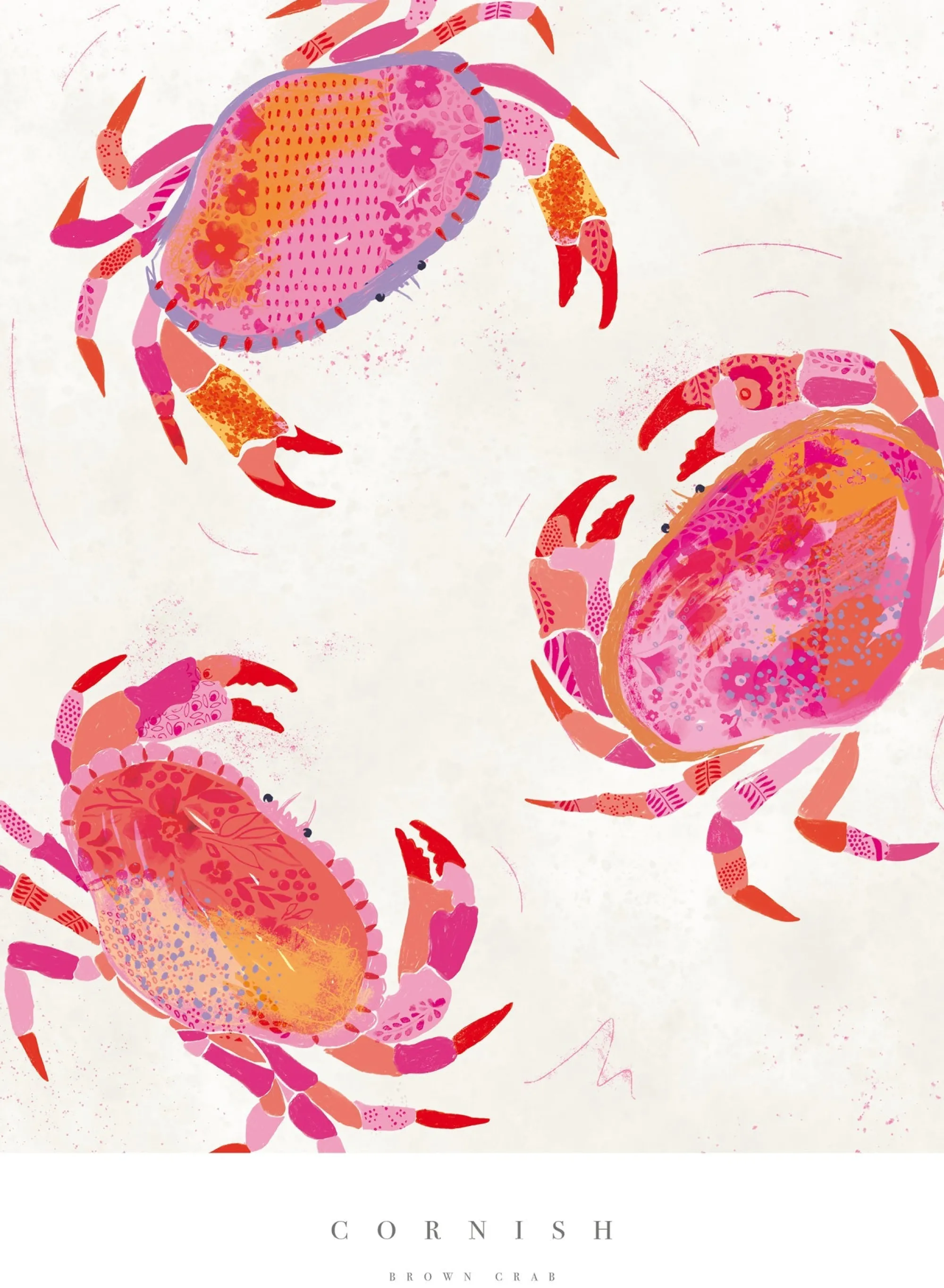 Sea Creatures|Unframed Prints*Whistlefish Cornish Crabs Small Art Print