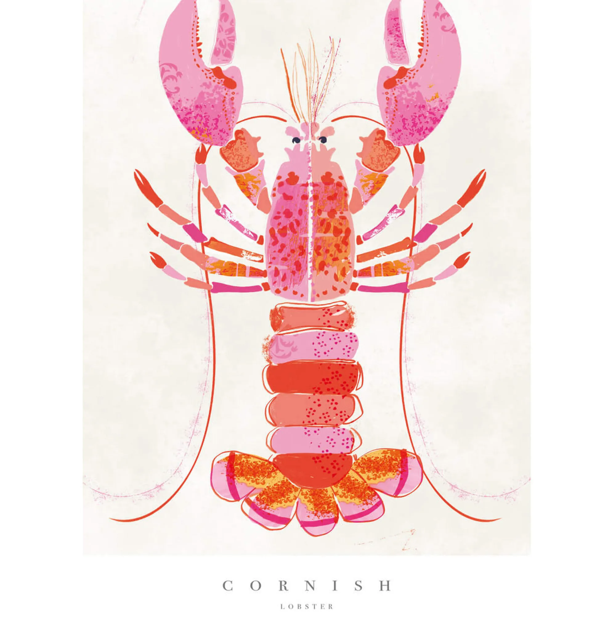 Sea Creatures|Unframed Prints*Whistlefish Cornish Lobster Medium Art Print