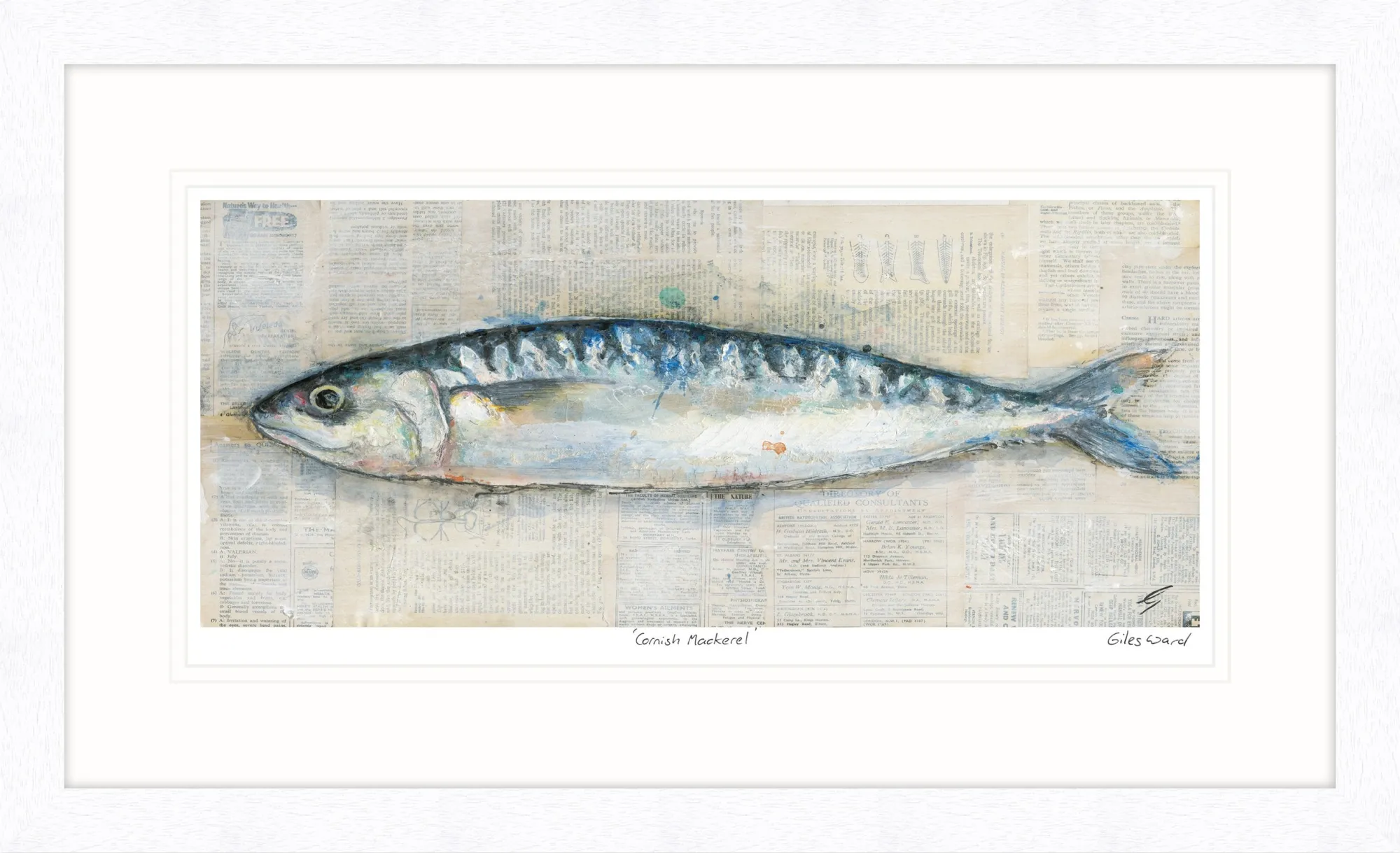 Framed Prints*Whistlefish Cornish Mackerel Framed Print