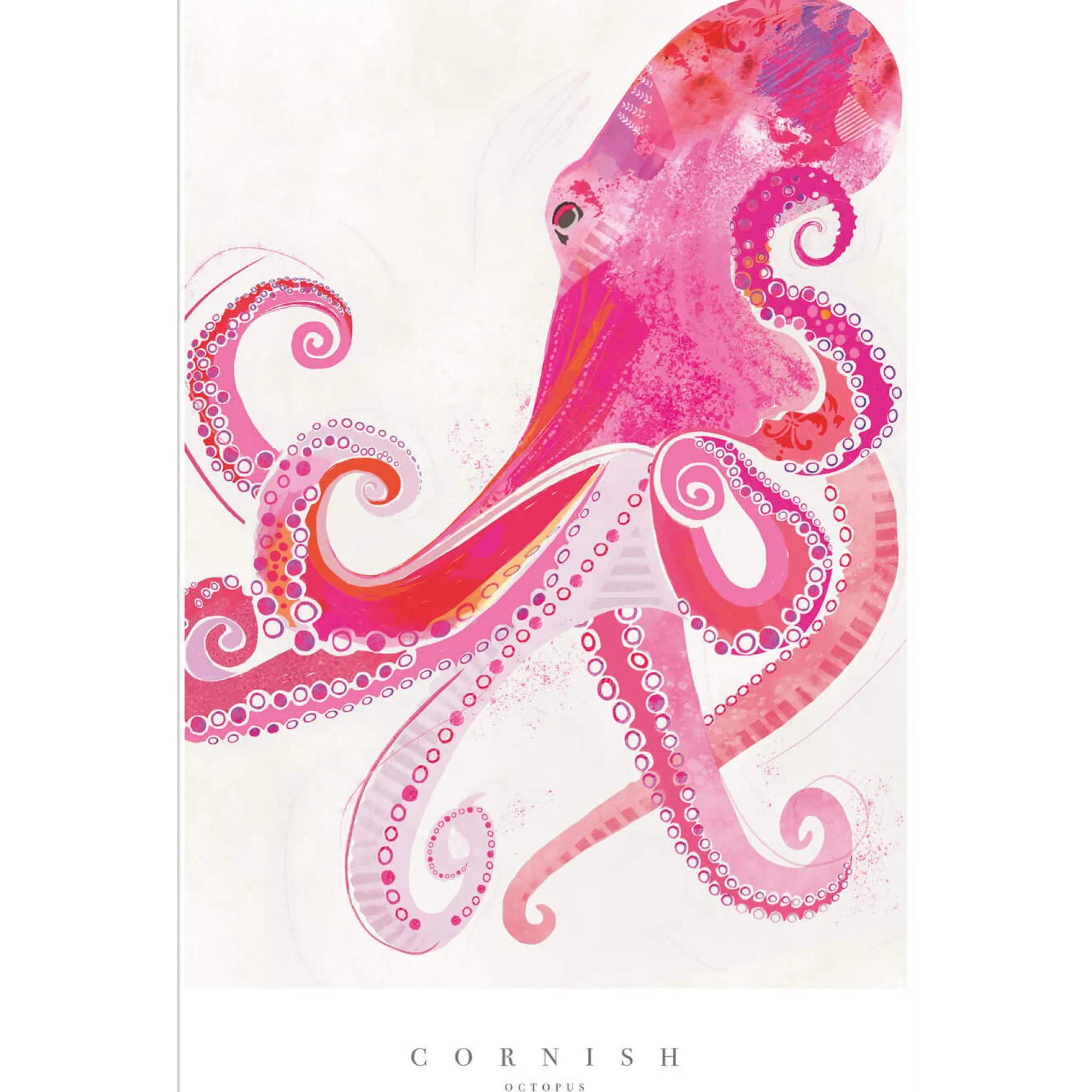 Sea Creatures|Unframed Prints*Whistlefish Cornish Octopus Medium Art Print