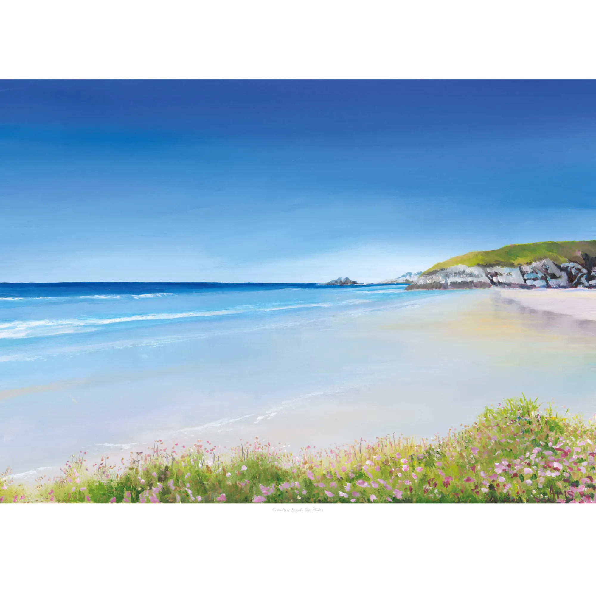 Unframed Prints*Whistlefish Crantock Beach Sea Pinks Art Print
