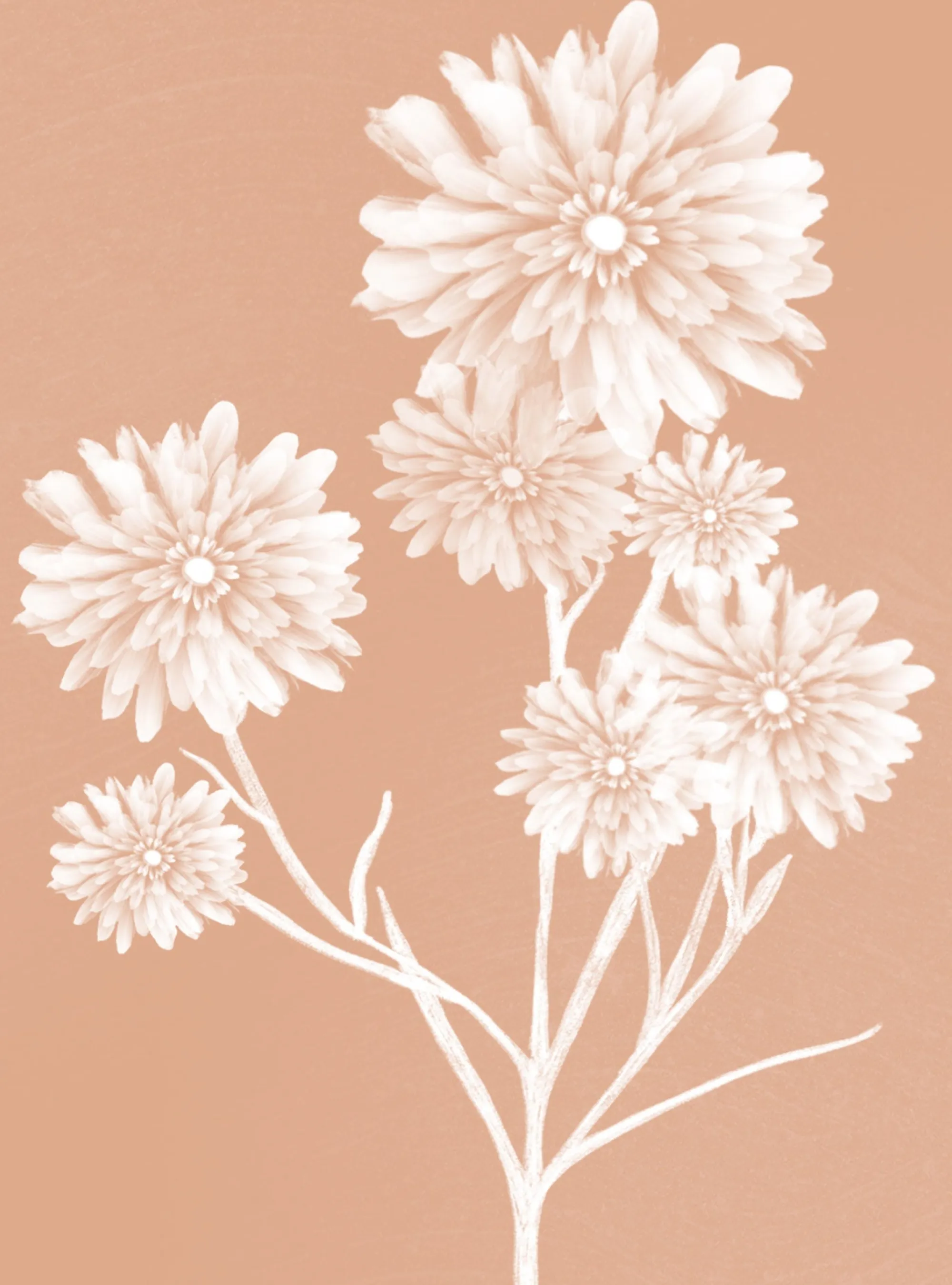 Unframed Prints*Whistlefish Dahlia Brown Medium Art Print