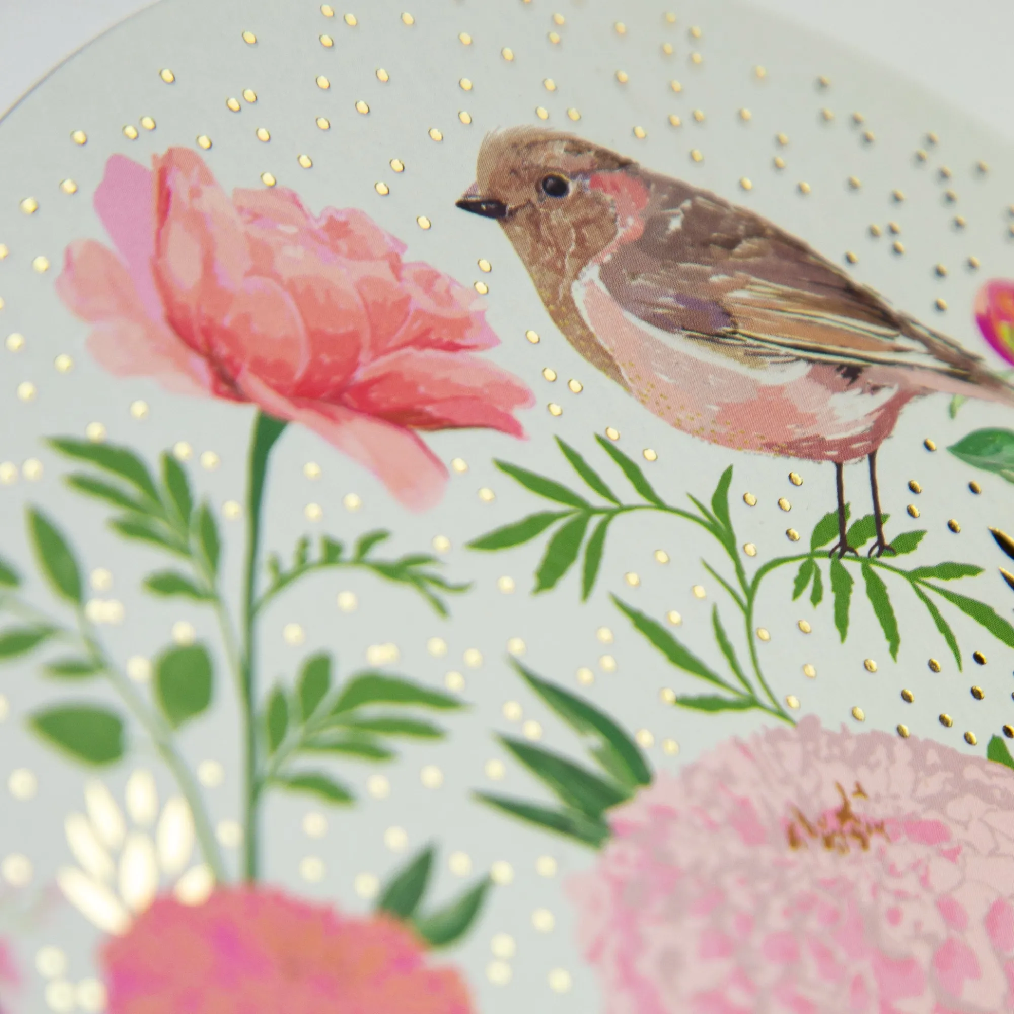 Birthday|For Her*Whistlefish Dahlia's And Chaffinch Birthday Card