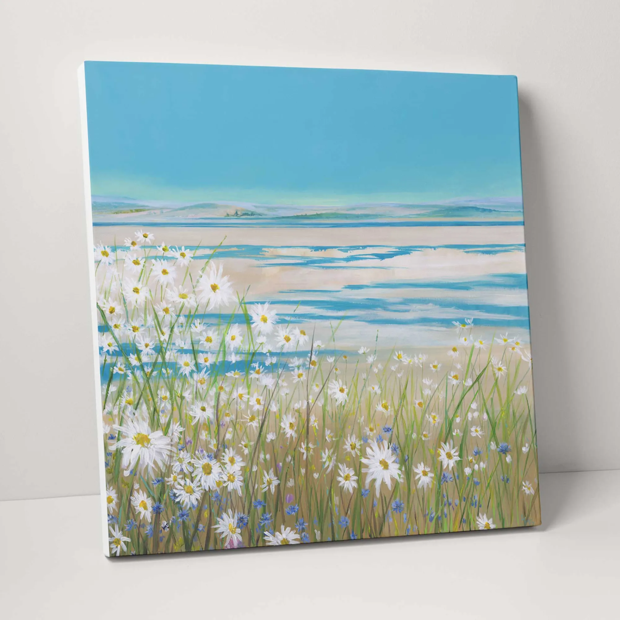 Floral & Flowers|Coastal Scenes*Whistlefish Daisy Bank Large Canvas