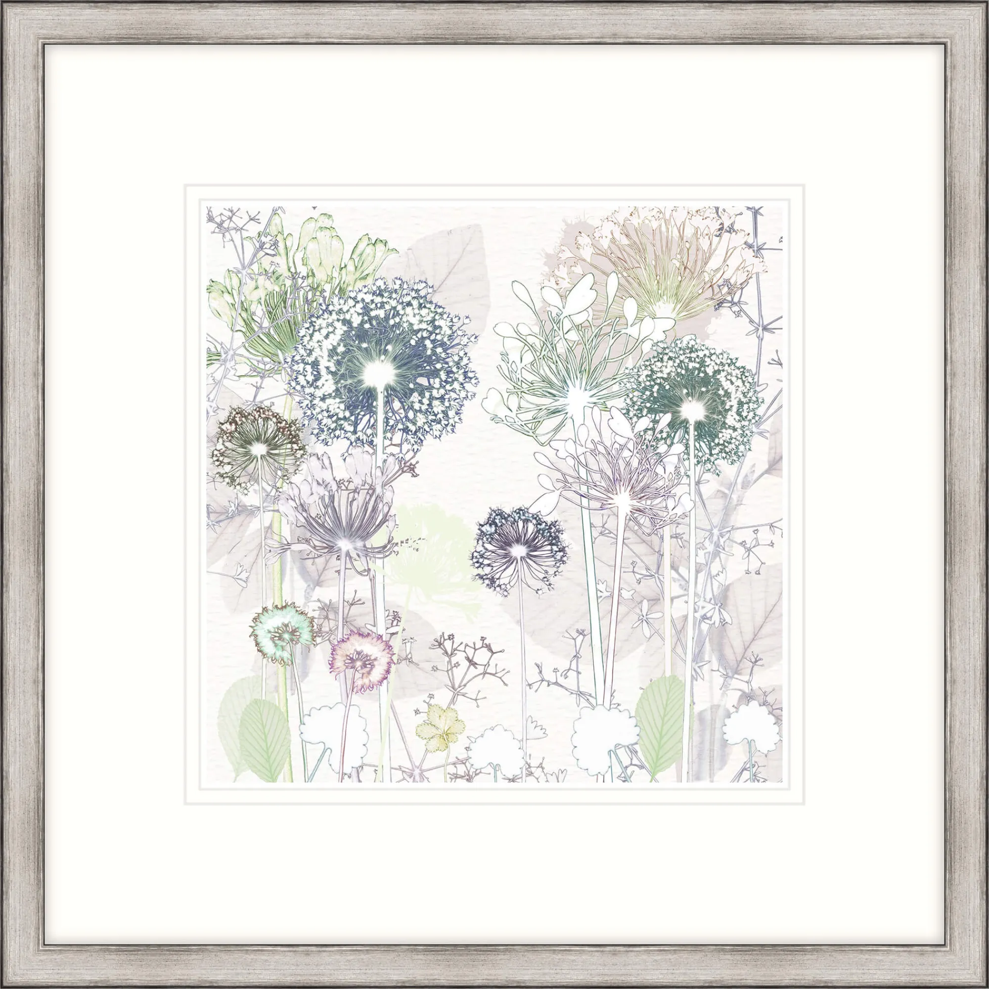 Floral & Flowers|Framed Prints*Whistlefish Delicate Allium Framed Print
