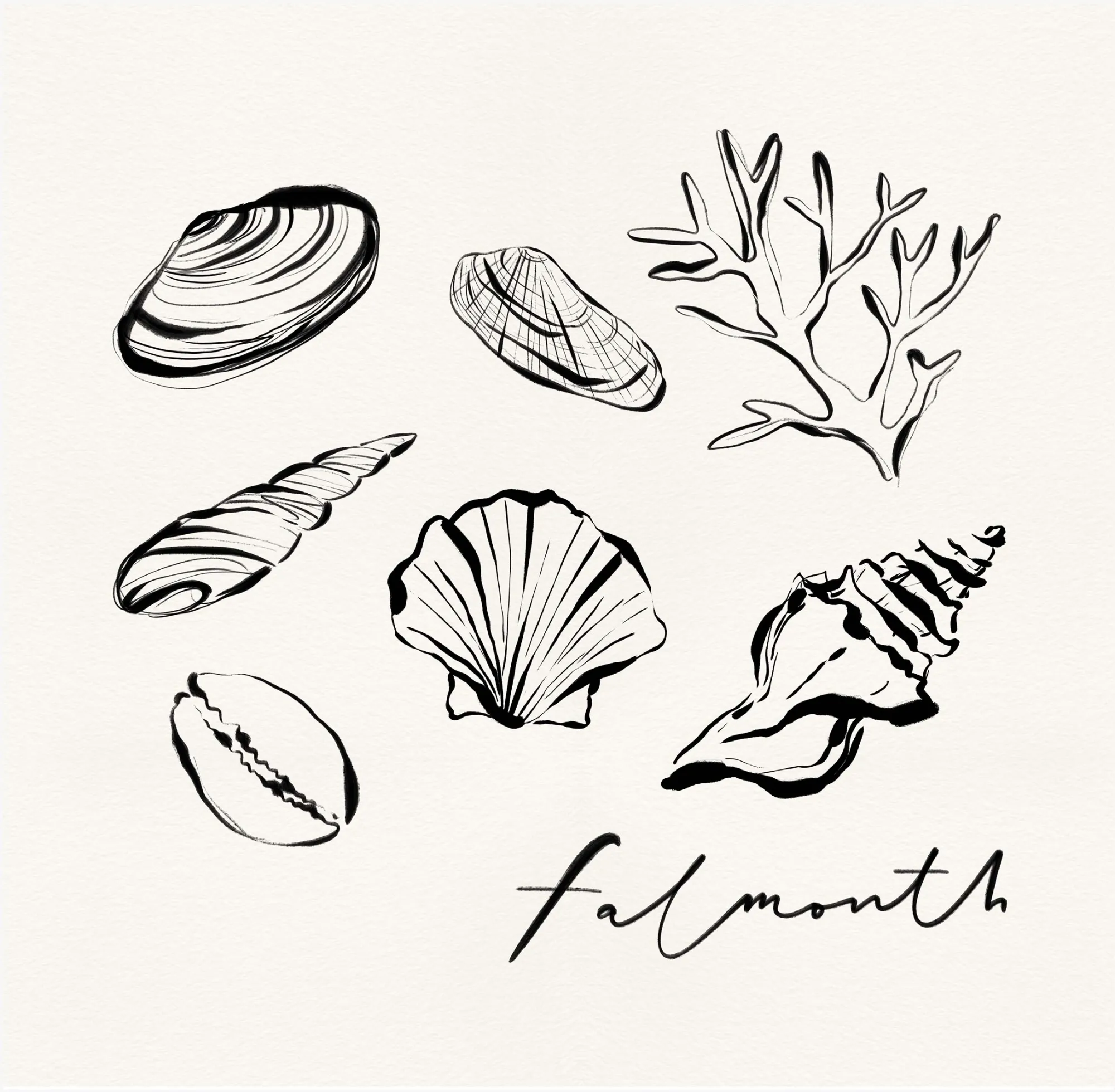 Falmouth|Cornwall*Whistlefish Falmouth Shells Framed Print