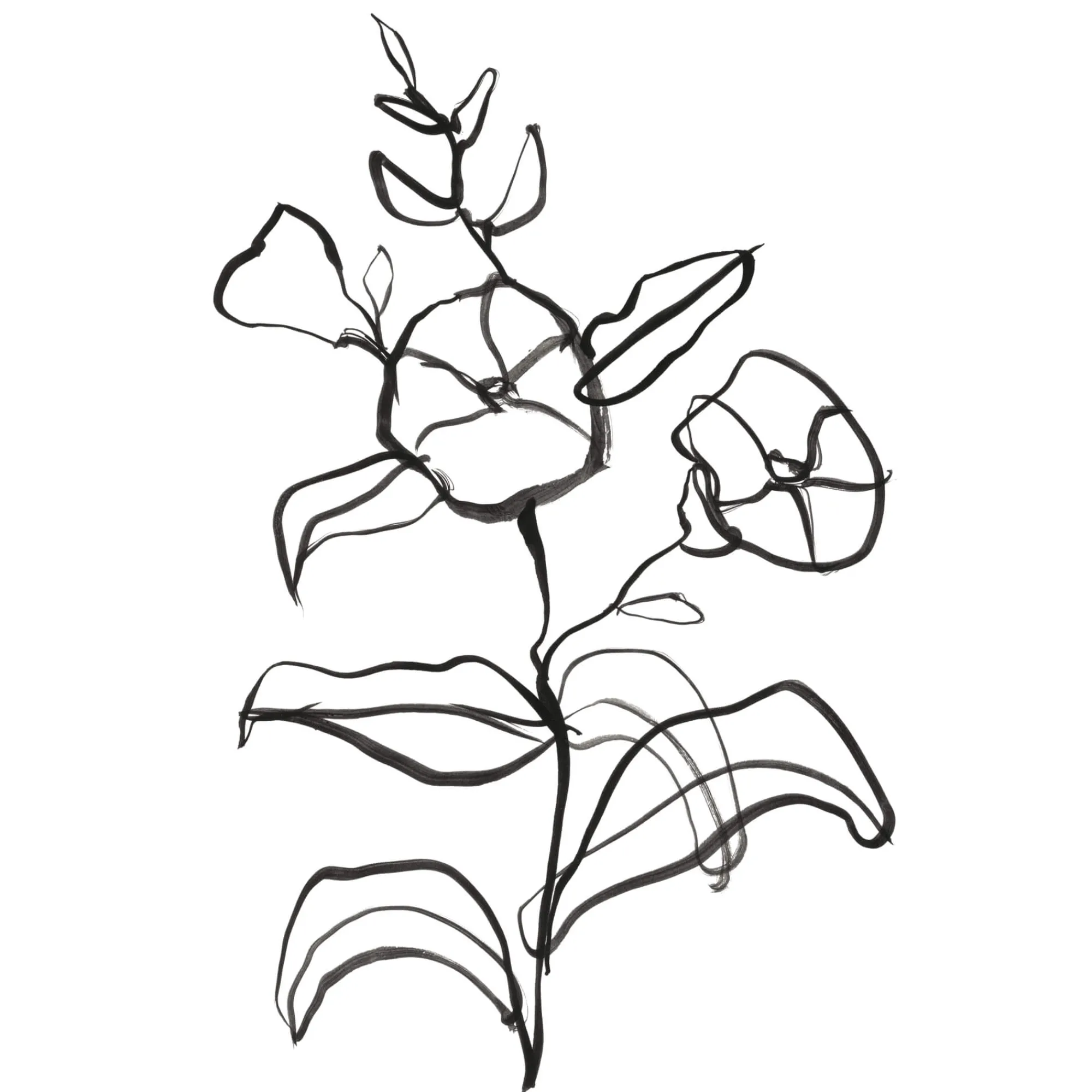 Unframed Prints*Whistlefish Floral Study Art Print