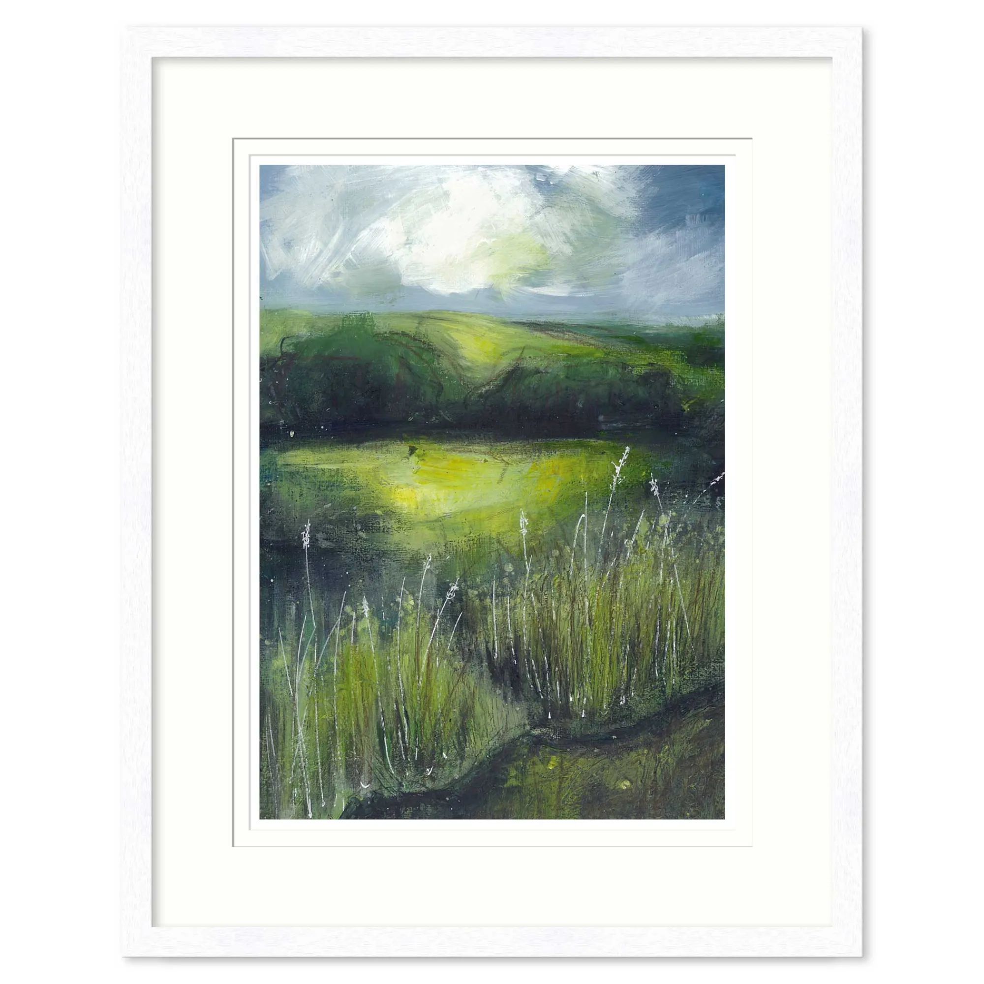 Framed Prints*Whistlefish Hidden Gems Framed Print