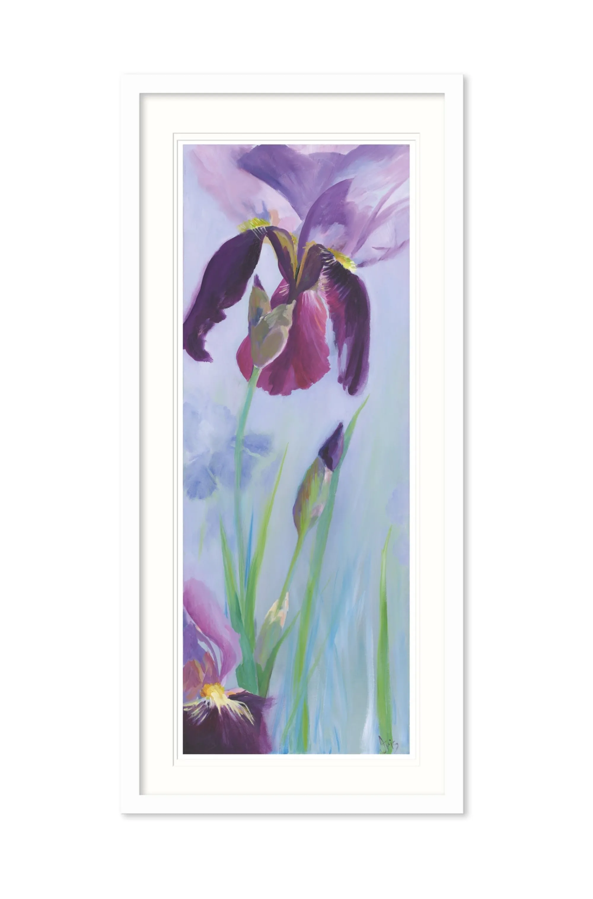 Floral & Flowers|Framed Prints*Whistlefish Iris Flower Large Framed Print