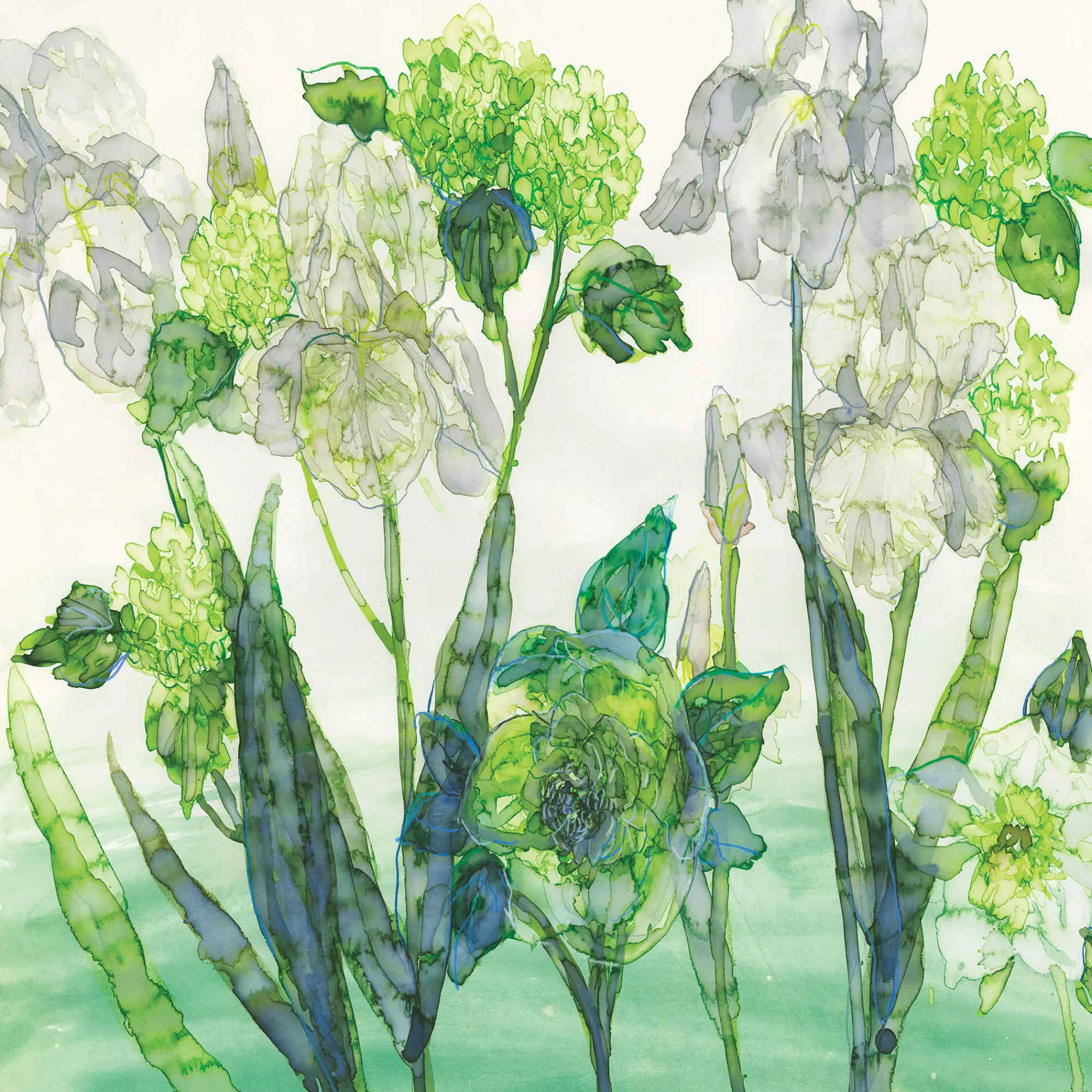 Unframed Prints*Whistlefish Iris, Hellebore & Viburnum Art Print