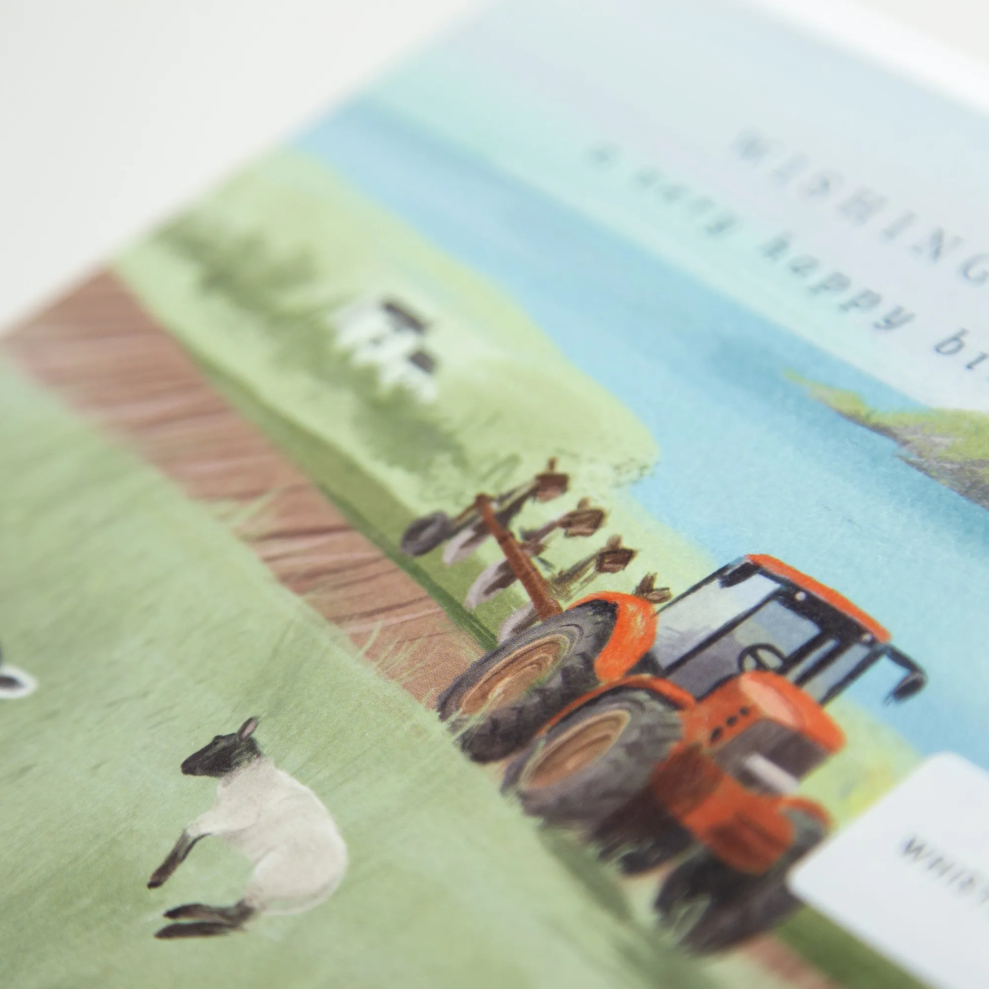 Birthday*Whistlefish Lambs By The Sea Birthday Card