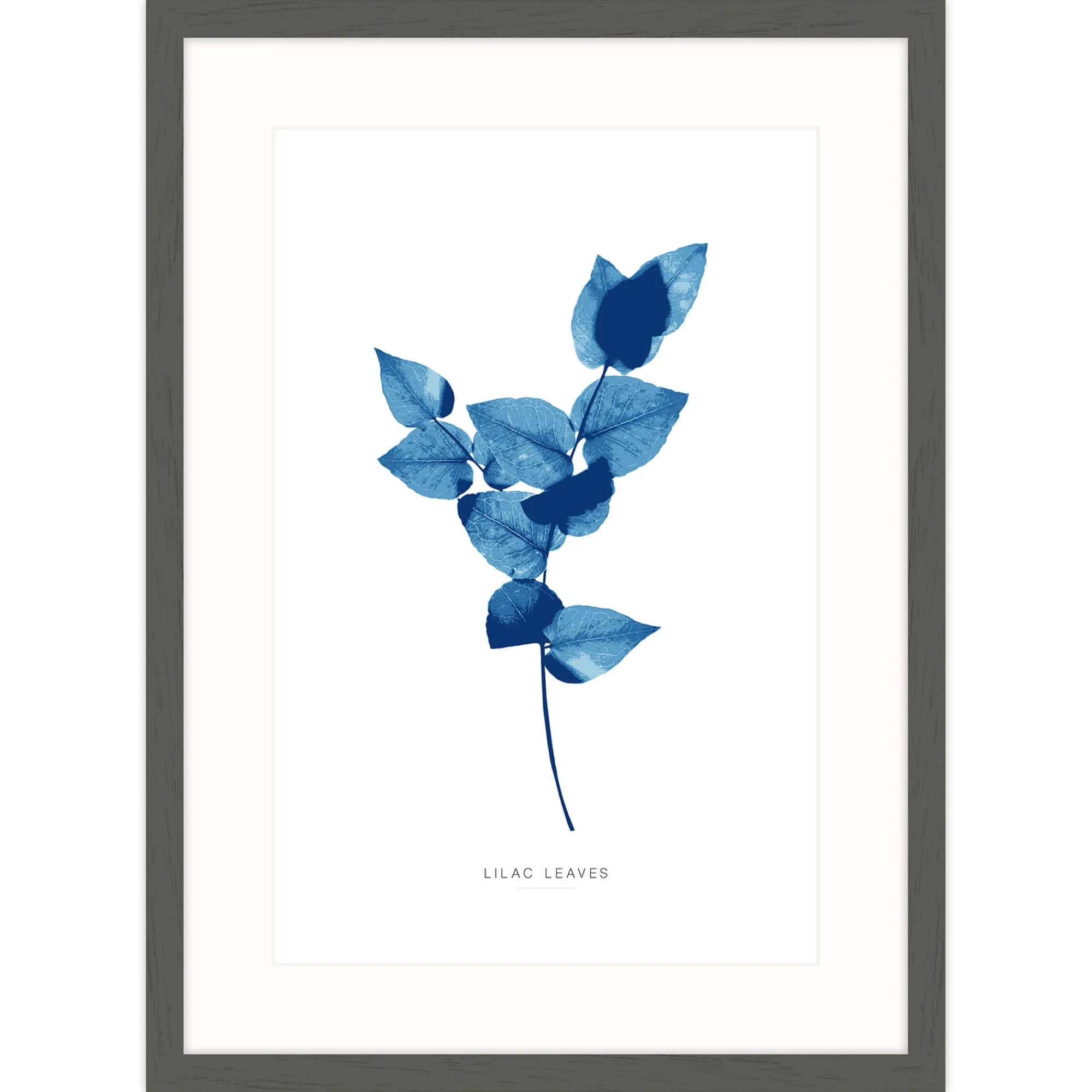 Floral & Flowers|Framed Prints*Whistlefish Lilac Leaves Framed Print