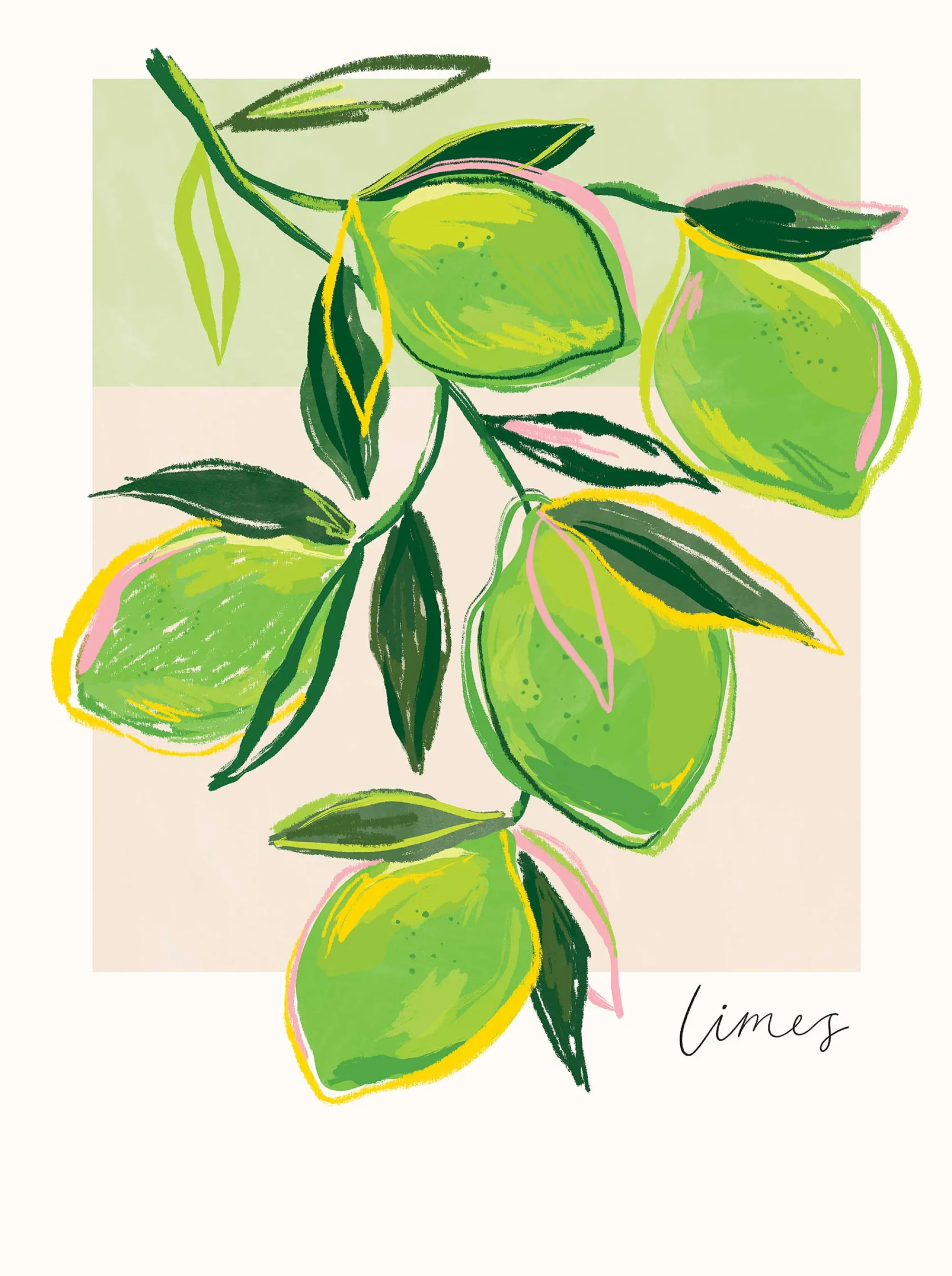 Unframed Prints*Whistlefish Limes Art Print