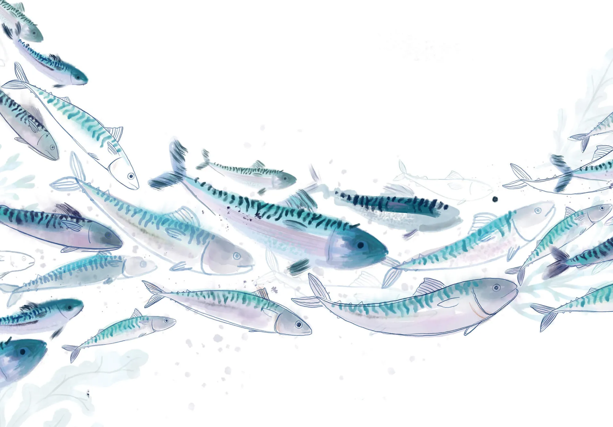 Unframed Prints*Whistlefish Mackerel Shoal Art Print