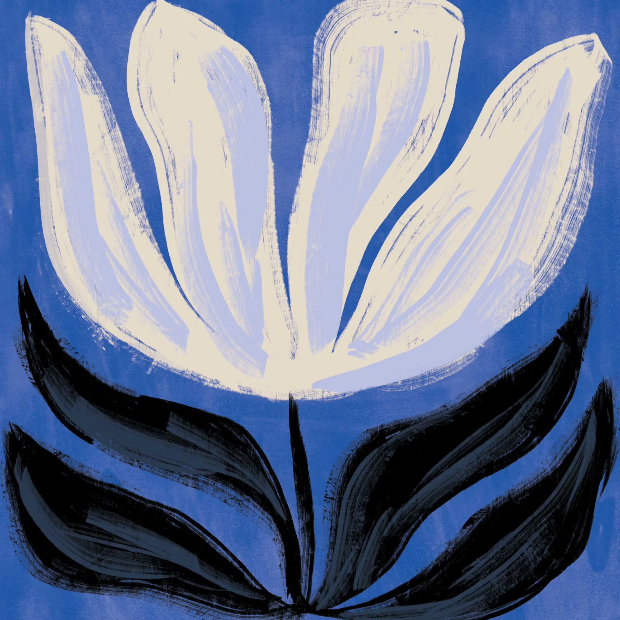Unframed Prints*Whistlefish Midnight Bloom Art Print