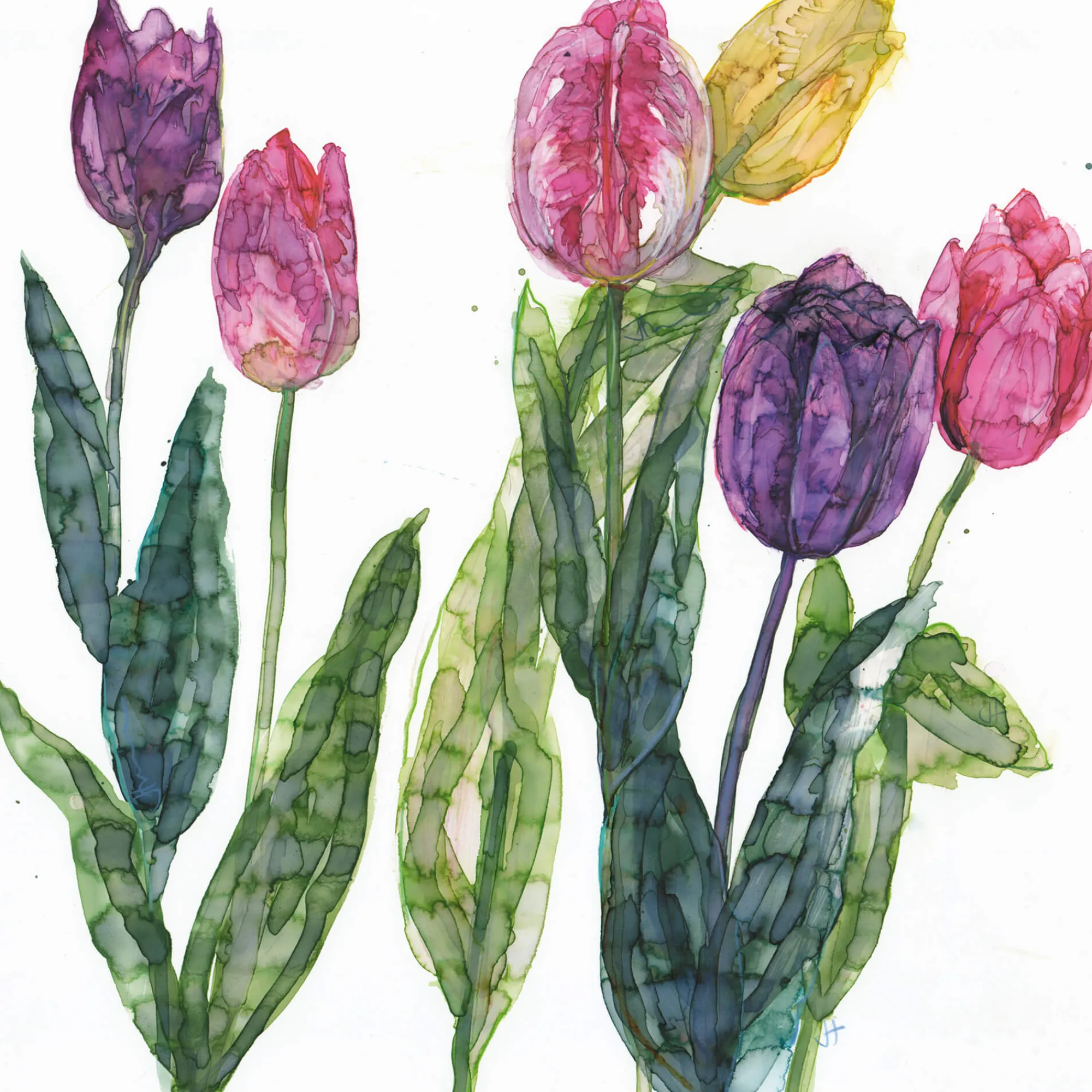 Unframed Prints*Whistlefish Mixed Tulips Art Print