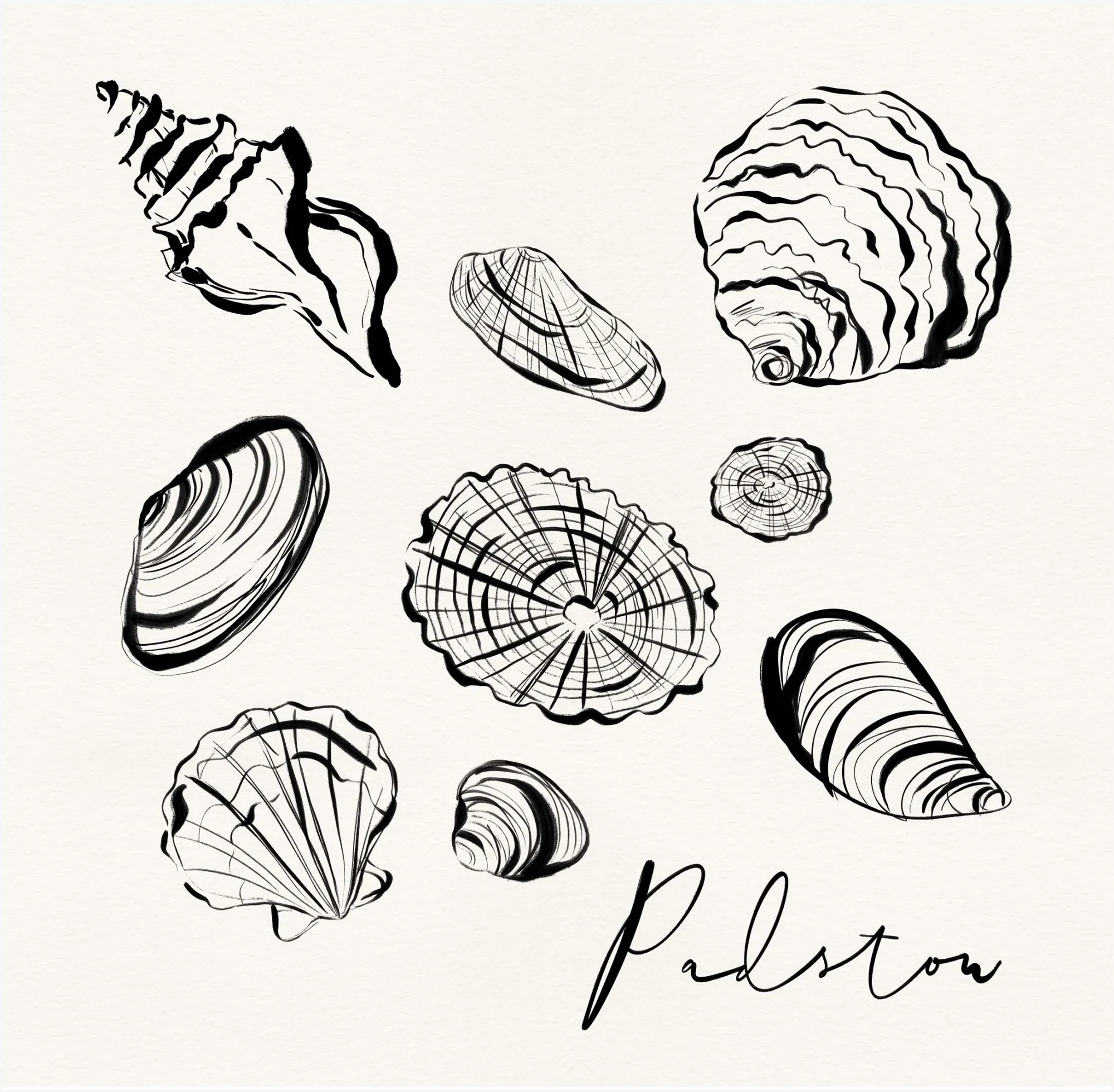 Unframed Prints*Whistlefish Padstow Shells Art Print