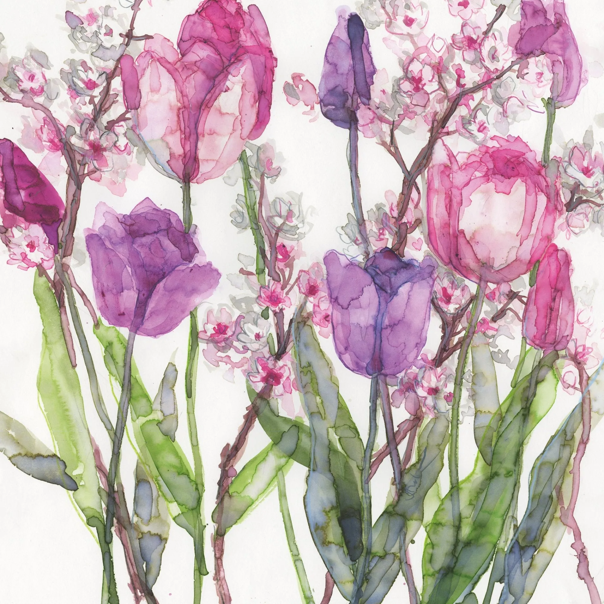 Unframed Prints*Whistlefish Pink And Lilac Tulips Art Print