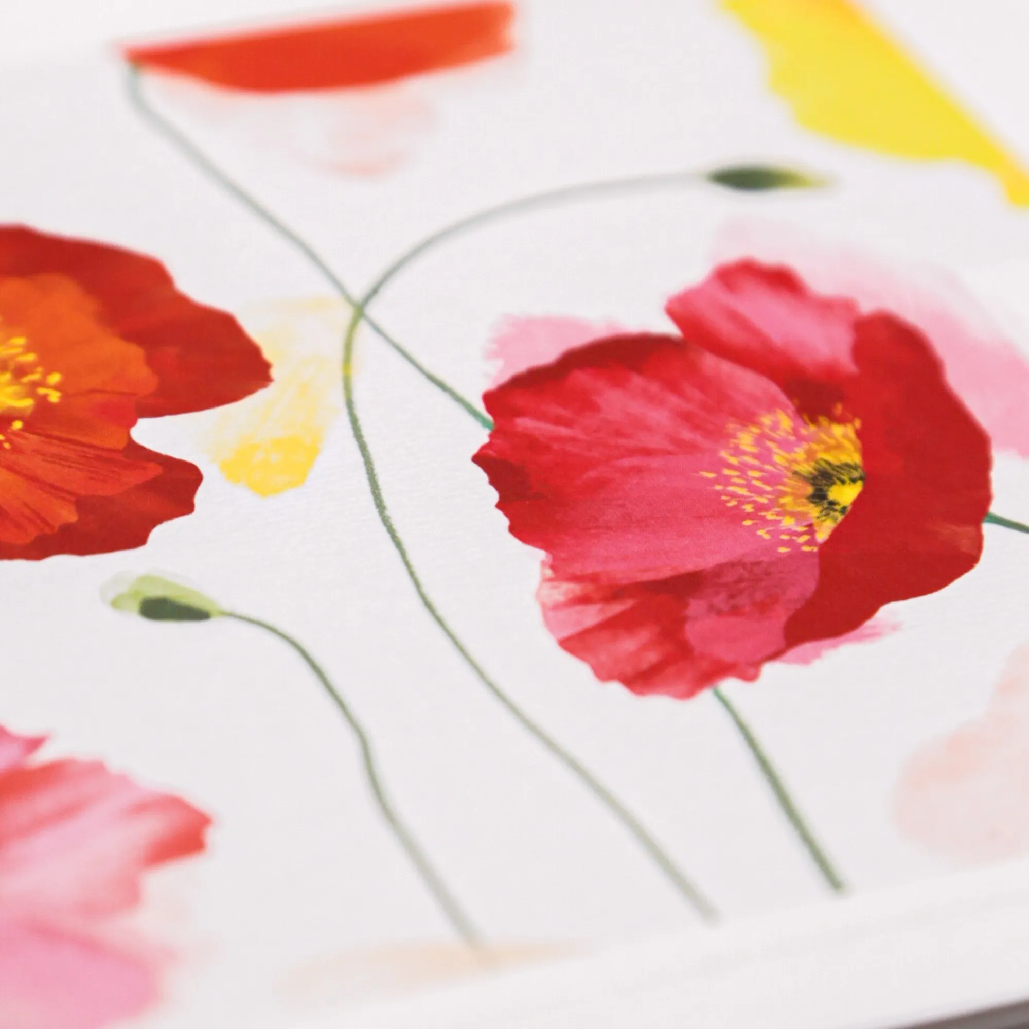 Mother's Day*Whistlefish Pink Poppies Art Card