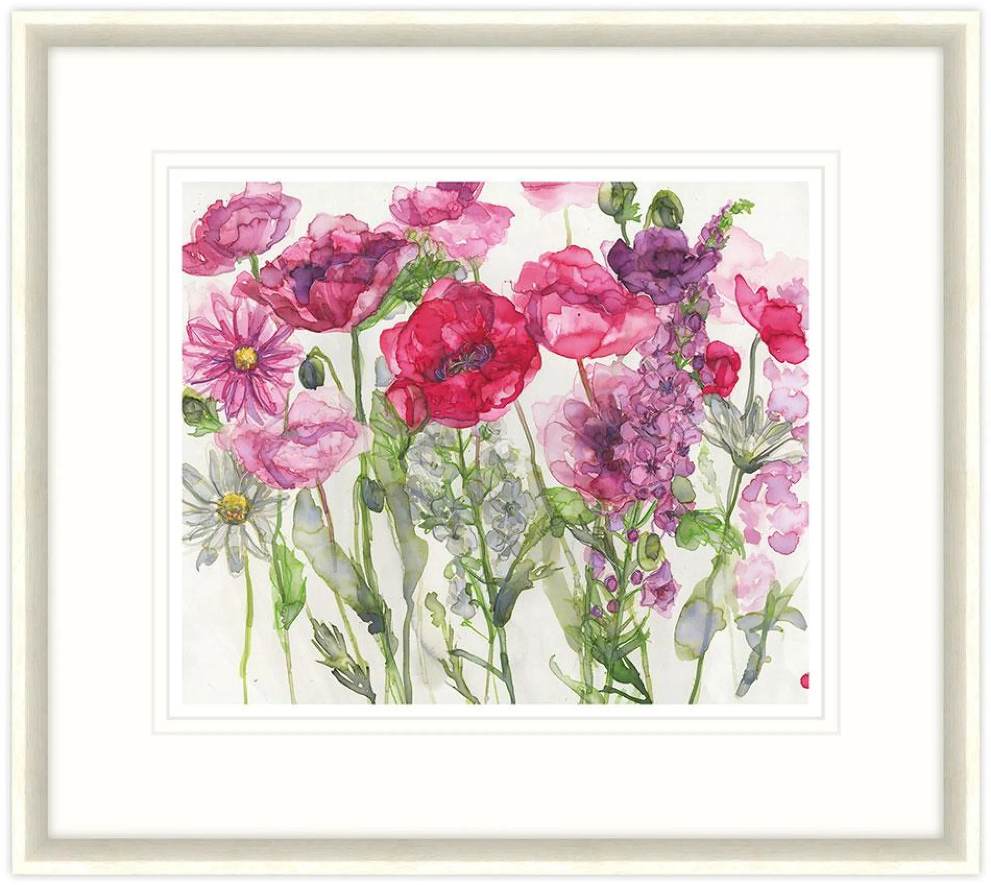 Framed Prints*Whistlefish Poppies, Verbascum & Daises Framed Print