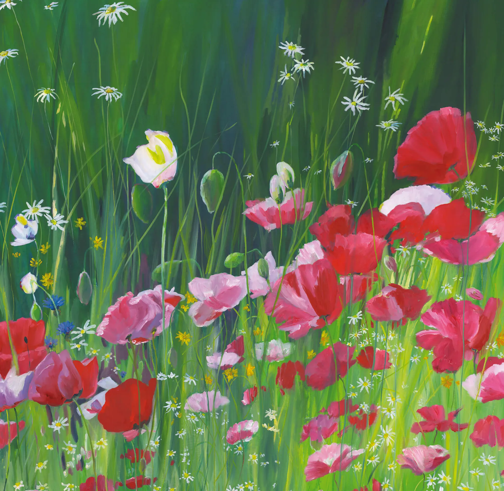 Unframed Prints*Whistlefish Poppy Field Art Print