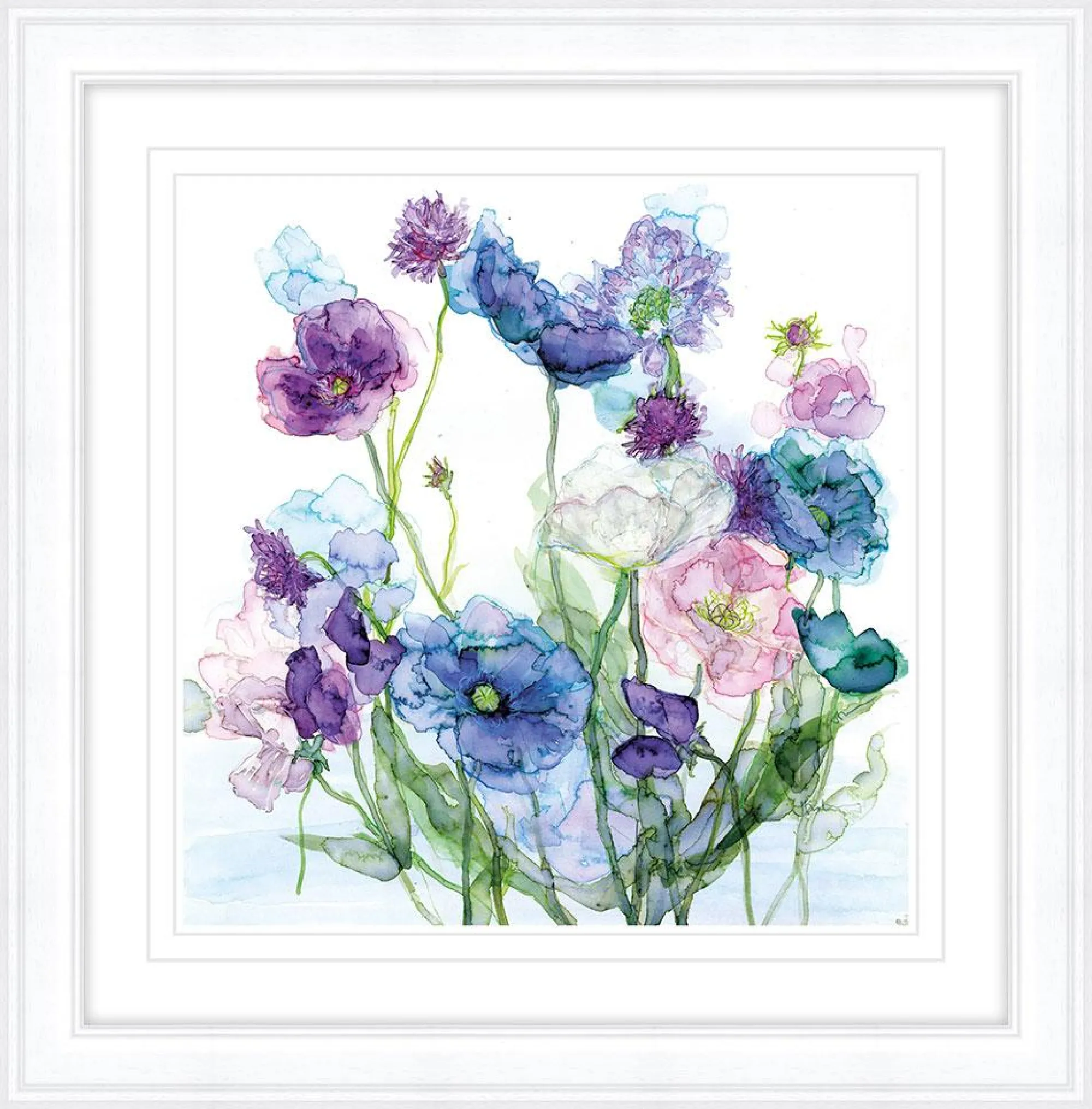 Framed Prints*Whistlefish Poppy, Scabious & Sweet Pea Framed Print