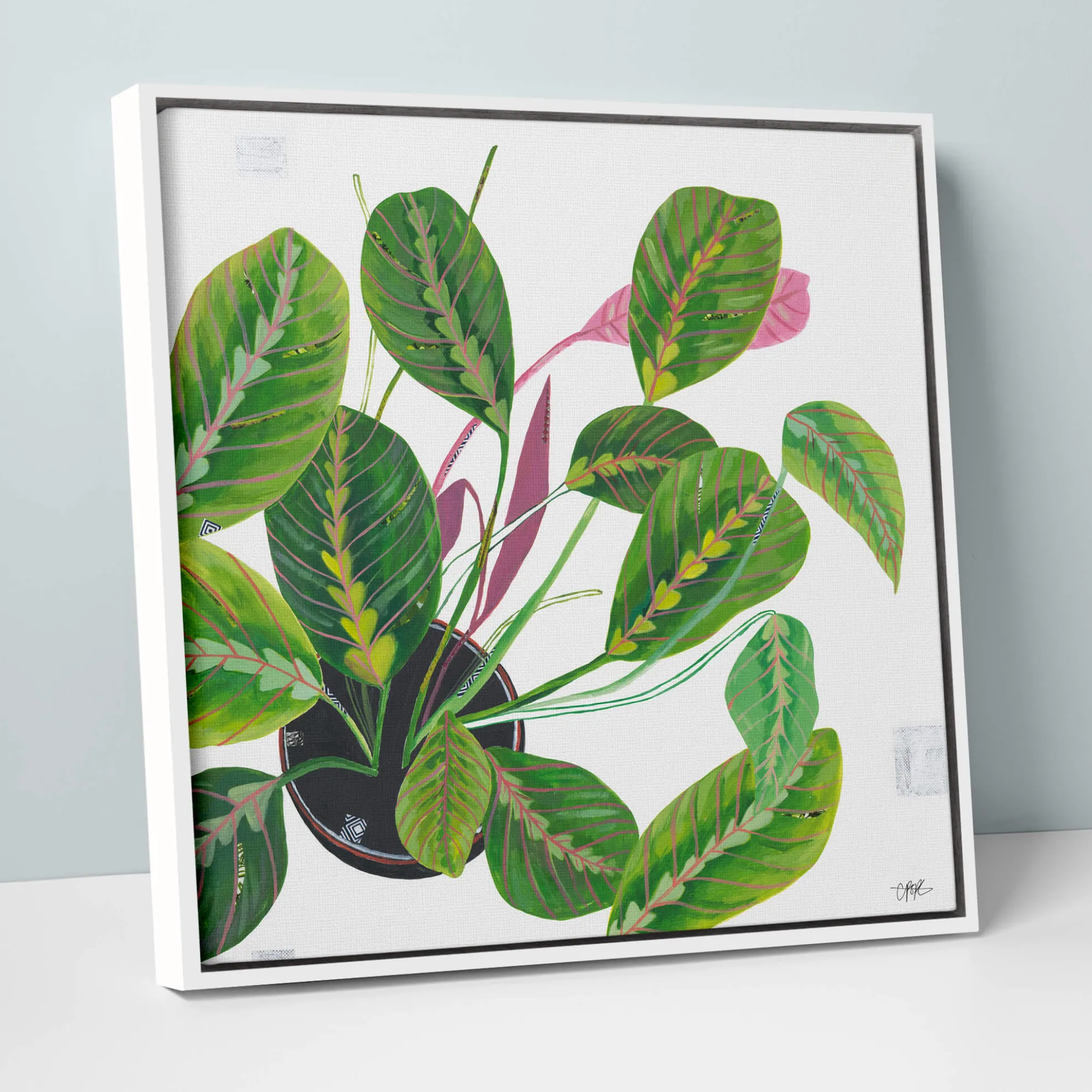 Framed Canvas*Whistlefish Prayer Plant Framed Canvas