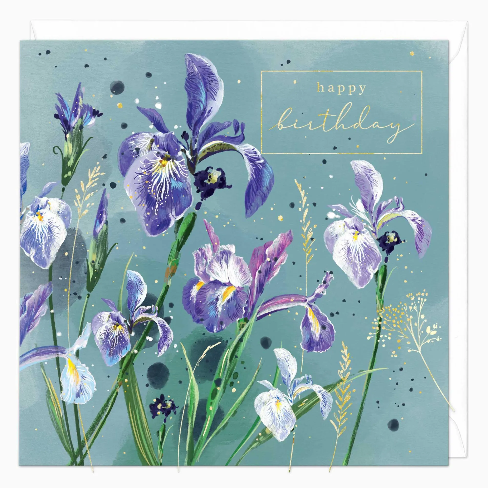 Birthday|For Her*Whistlefish Purple Iris Birthday Card