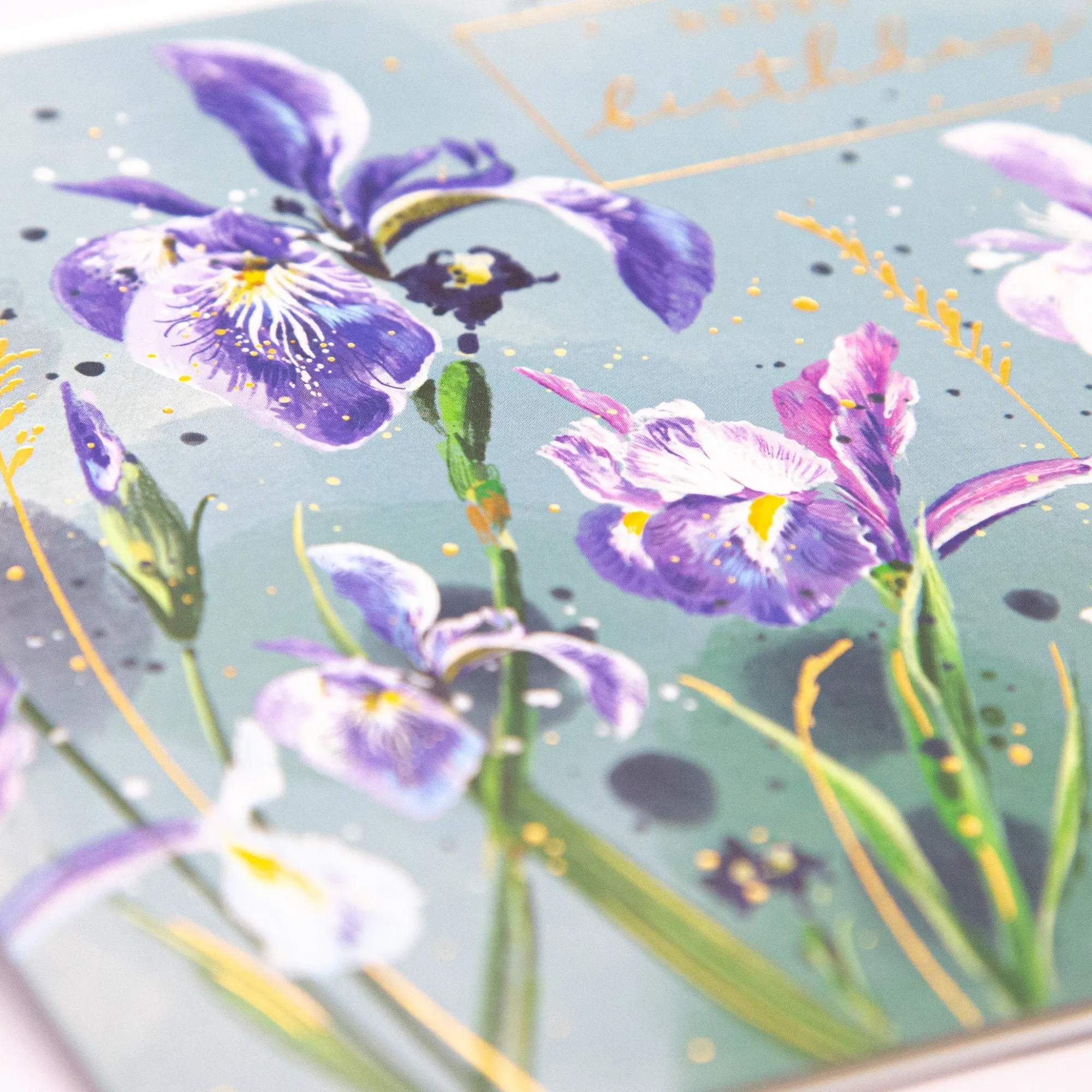 Birthday|For Her*Whistlefish Purple Iris Birthday Card
