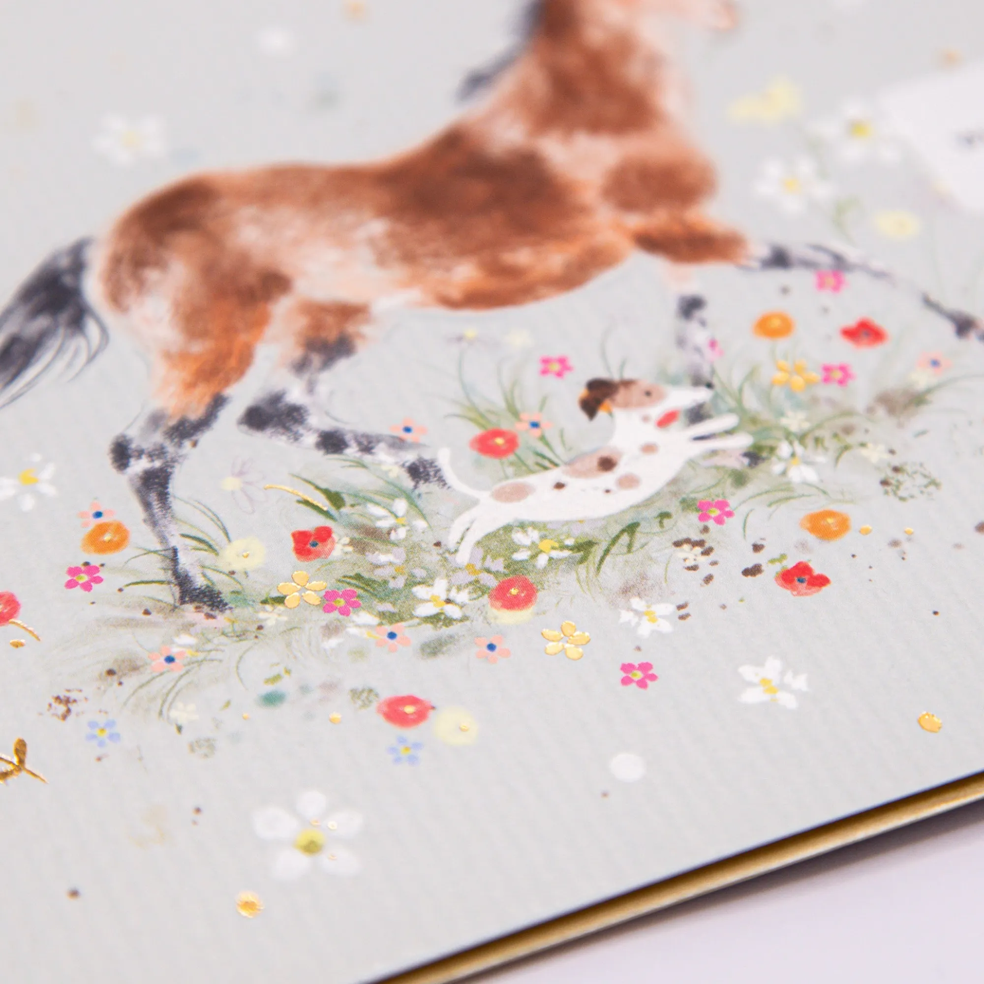 Just To Say*Whistlefish Running Through The Meadow Card