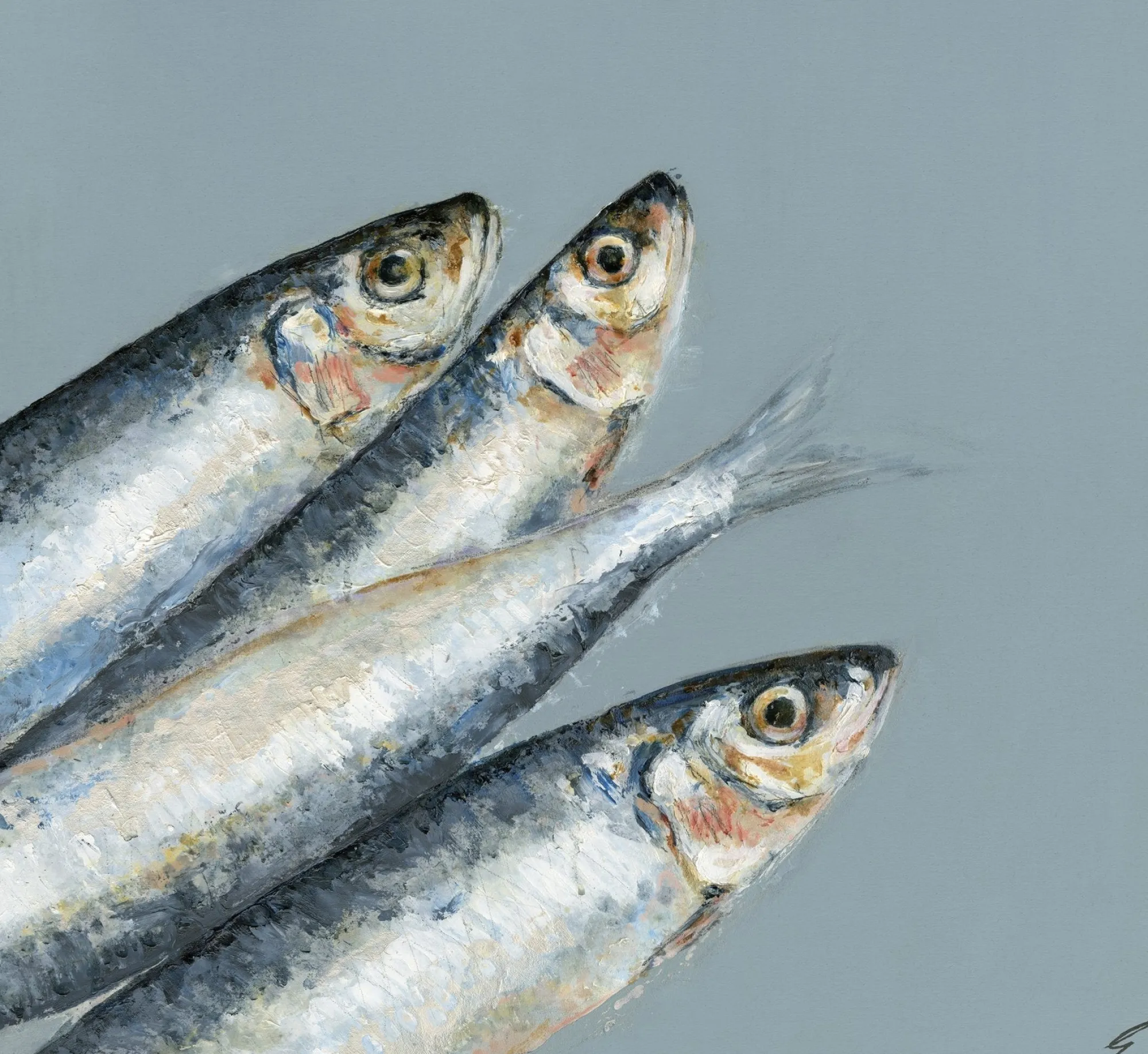 Unframed Prints*Whistlefish Sardines Art Print Large