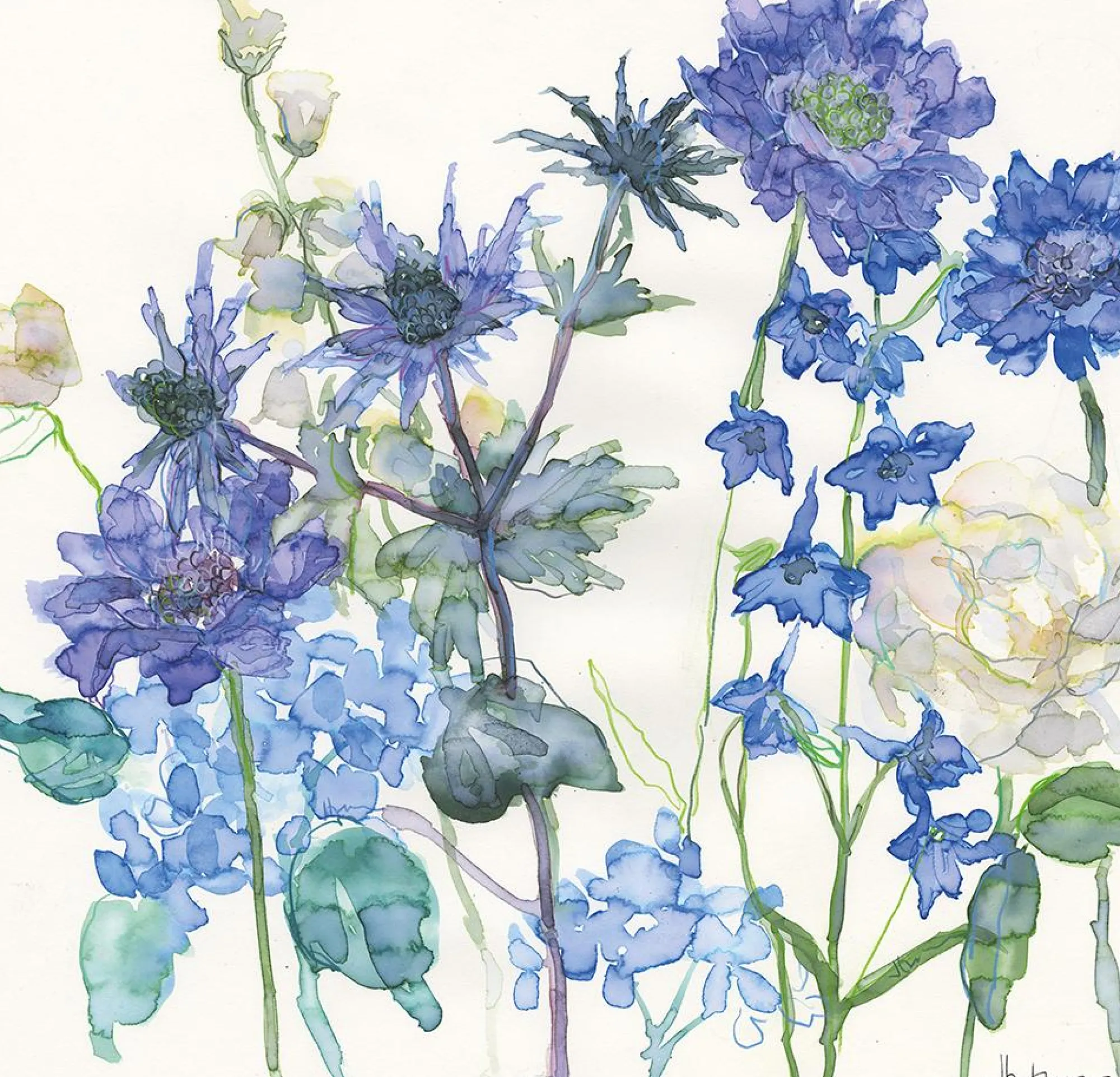 Unframed Prints*Whistlefish Sea Holly And Larkspur Art Print