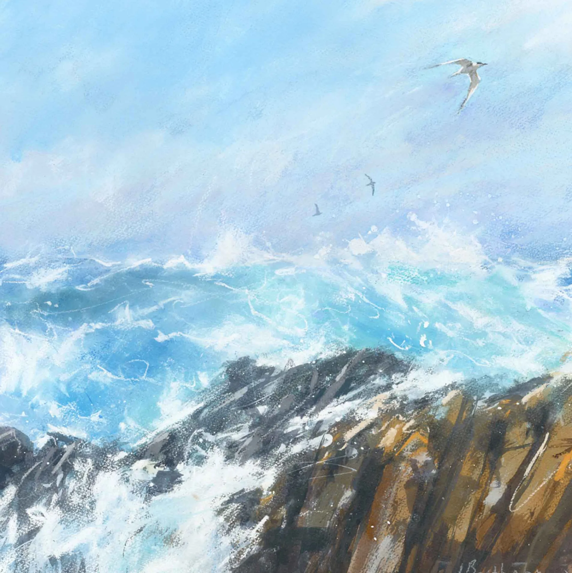 Unframed Prints*Whistlefish Seabird Over Rocks Art Print