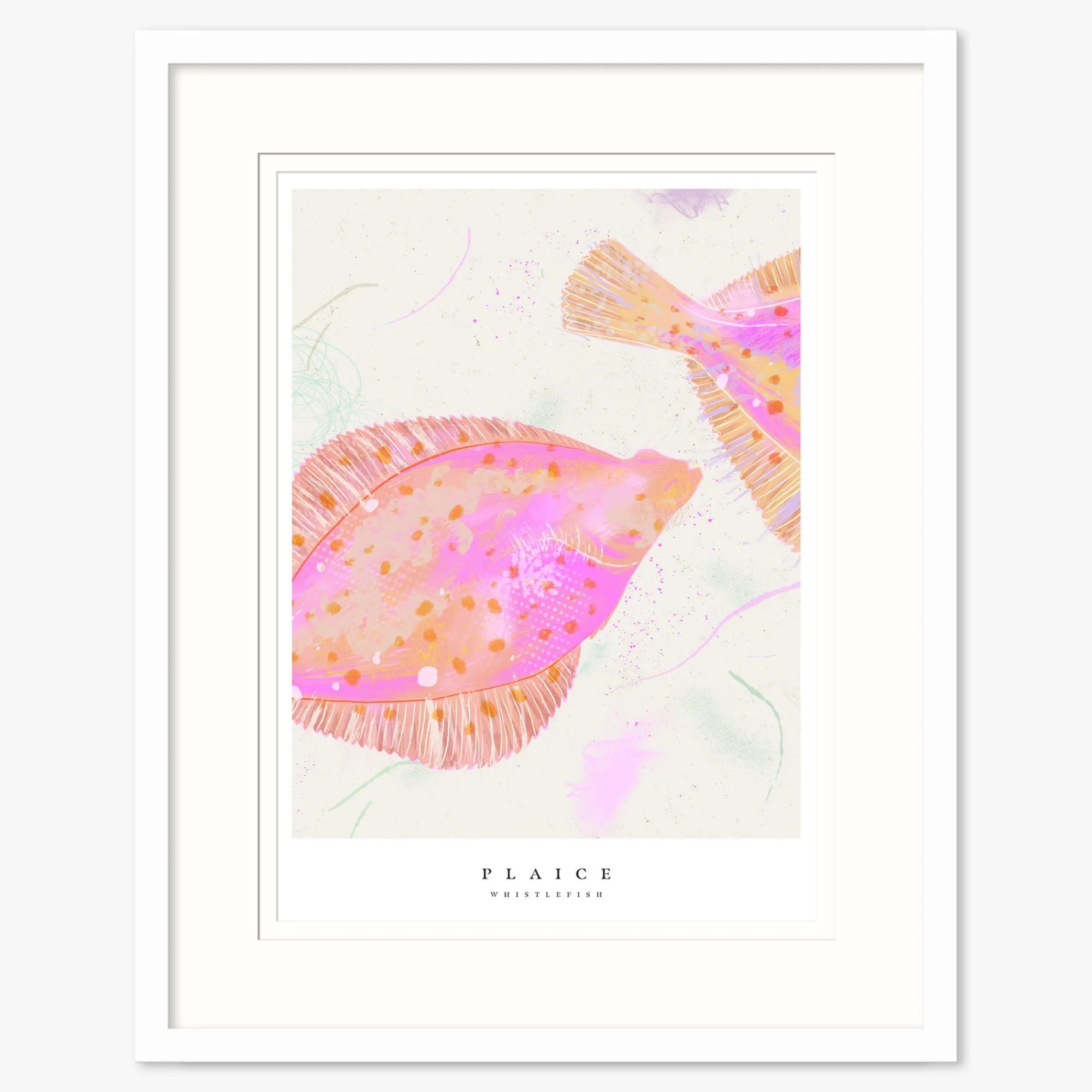 Seagrass|Coastal Scenes*Whistlefish Seagrass Plaice Small Framed Print
