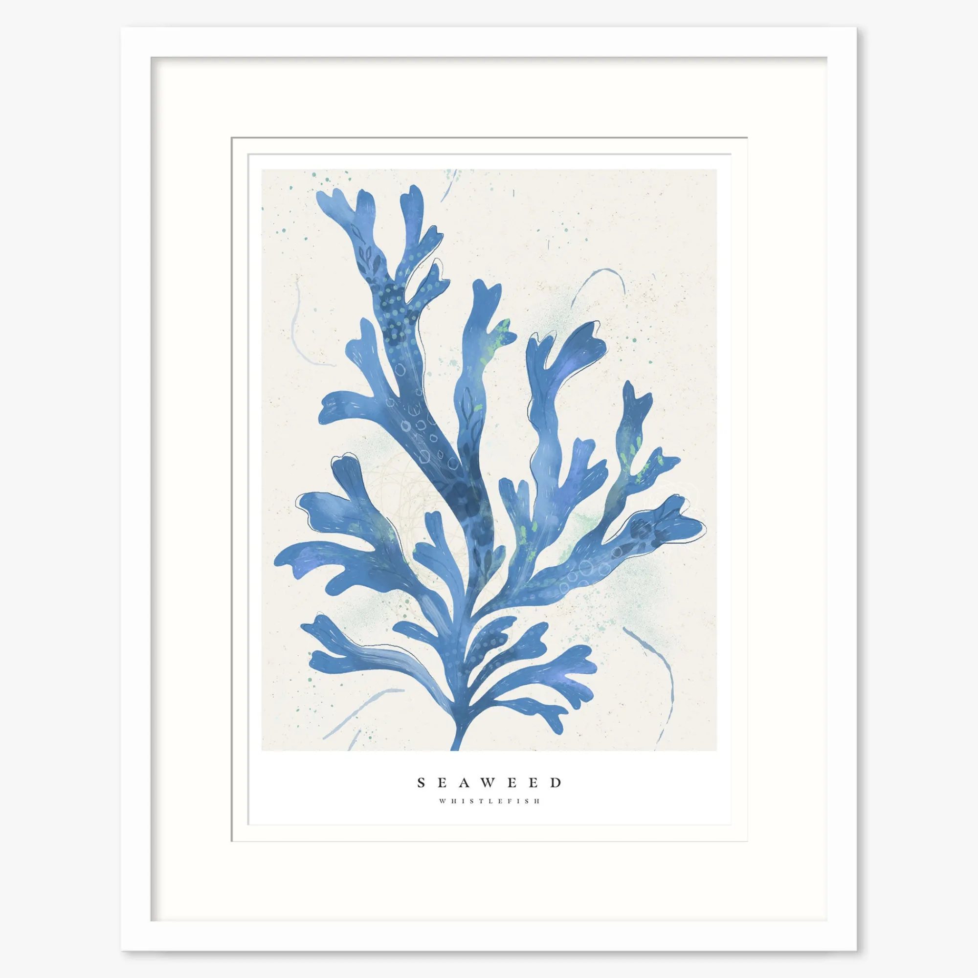 Seagrass|Coastal Scenes*Whistlefish Seagrass Seaweed Small Framed Print