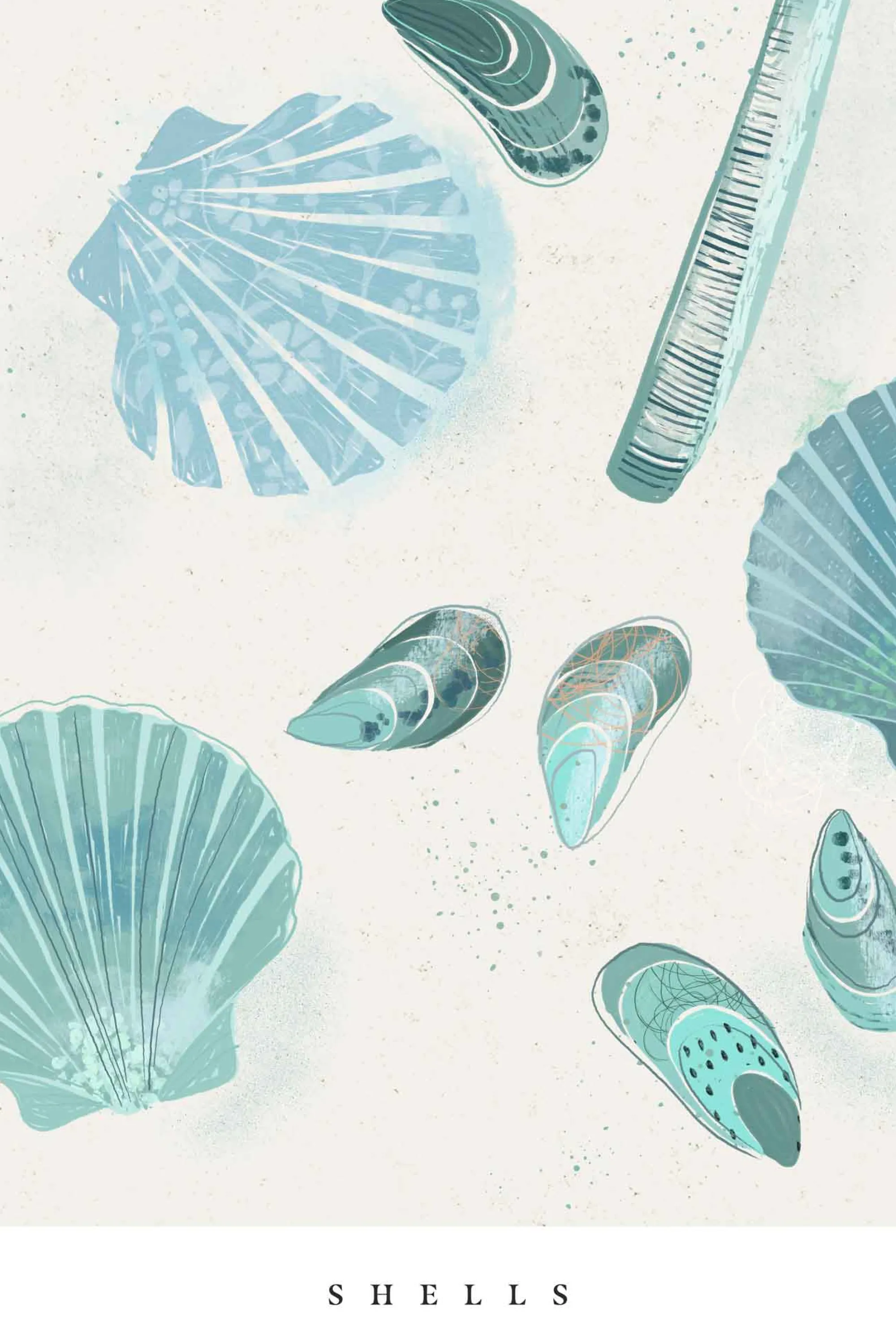 Seagrass|Unframed Prints*Whistlefish Seagrass Shells Large Art Print