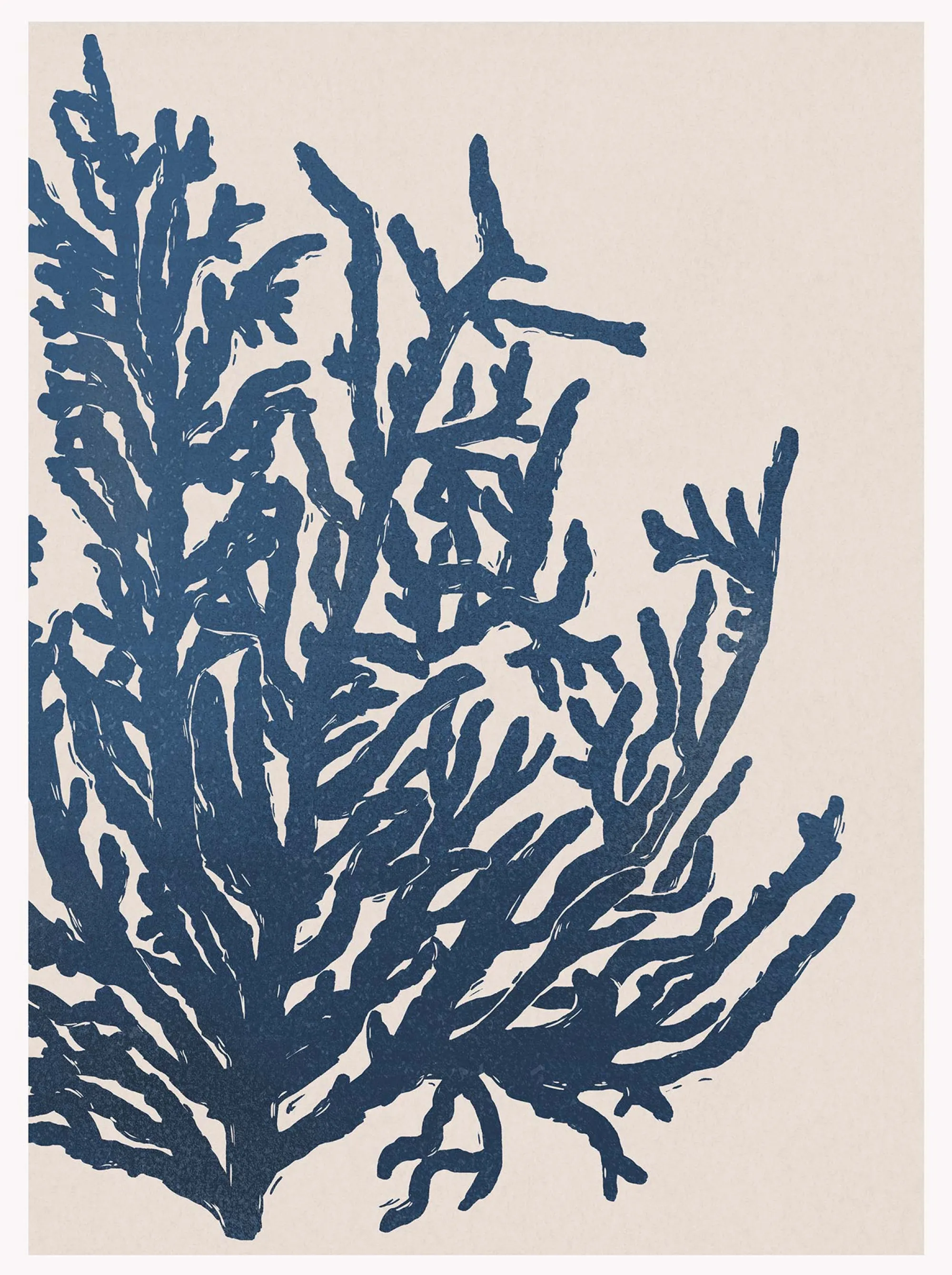 Framed Prints*Whistlefish Seaweed Large Framed Print