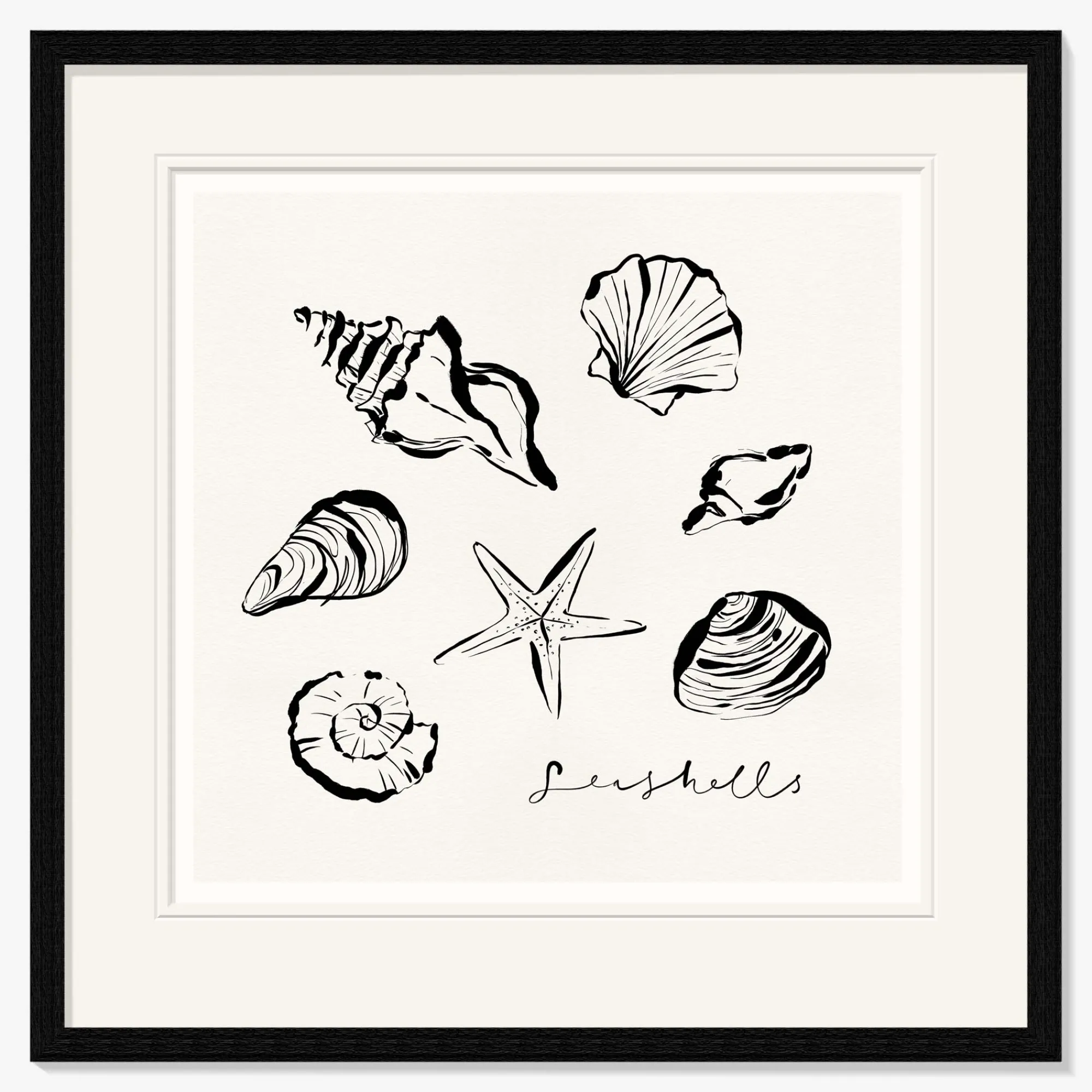 Inky Lines|Coastal Scenes*Whistlefish Shells Framed Print