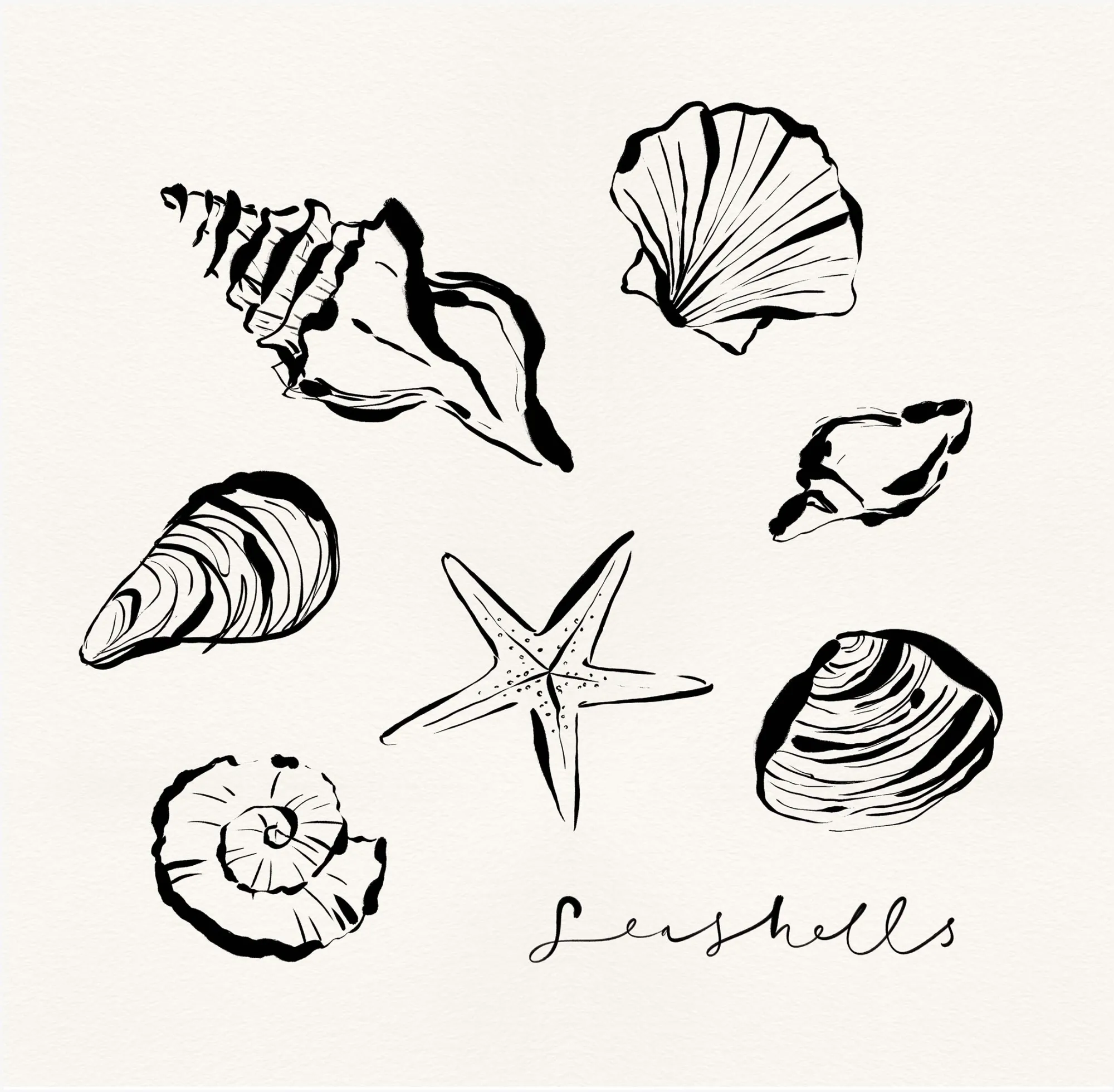 Inky Lines|Coastal Scenes*Whistlefish Shells Framed Print