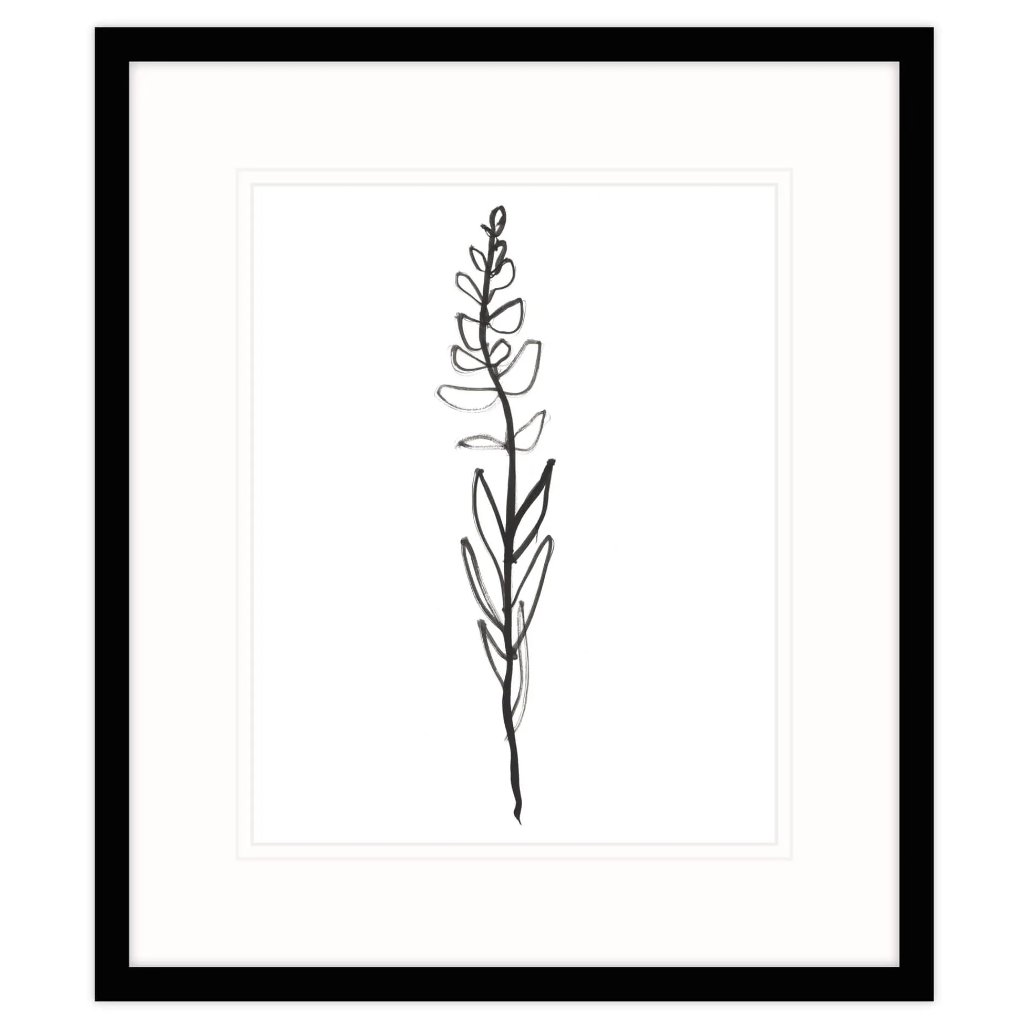 Floral & Flowers|Framed Prints*Whistlefish Single Stem Framed Print
