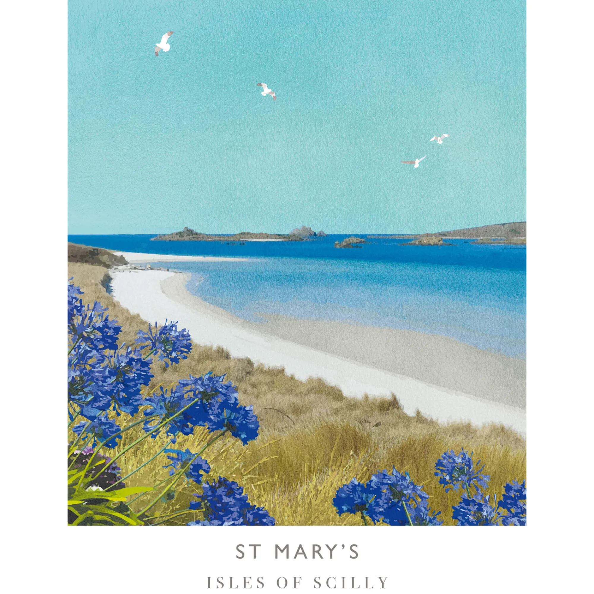 Unframed Prints*Whistlefish St Mary's Isles Of Scilly Art Print