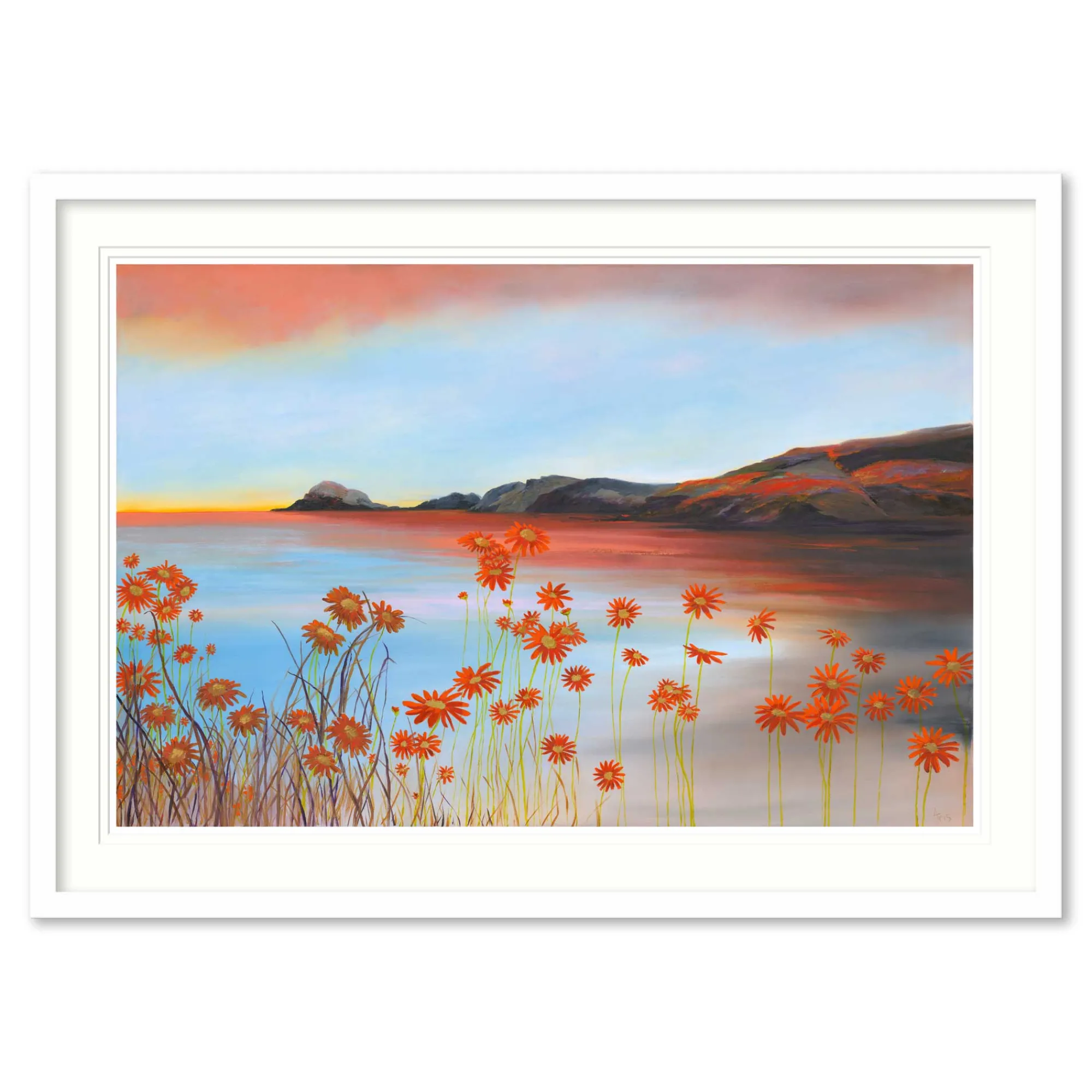 Cornwall|Floral & Flowers*Whistlefish Sundown Portreath Large Framed Print