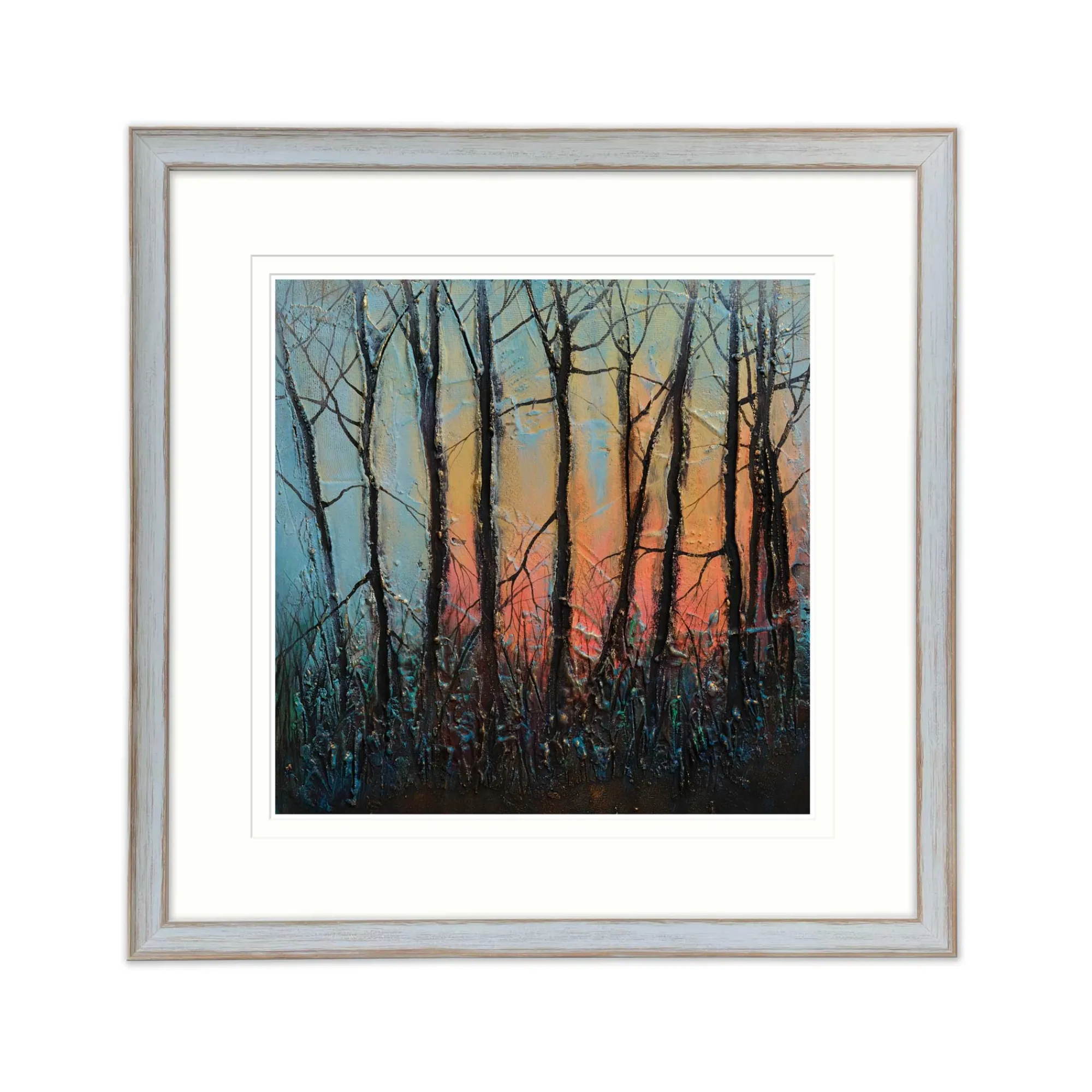 Framed Prints*Whistlefish Sunlit Forest Med Framed Print