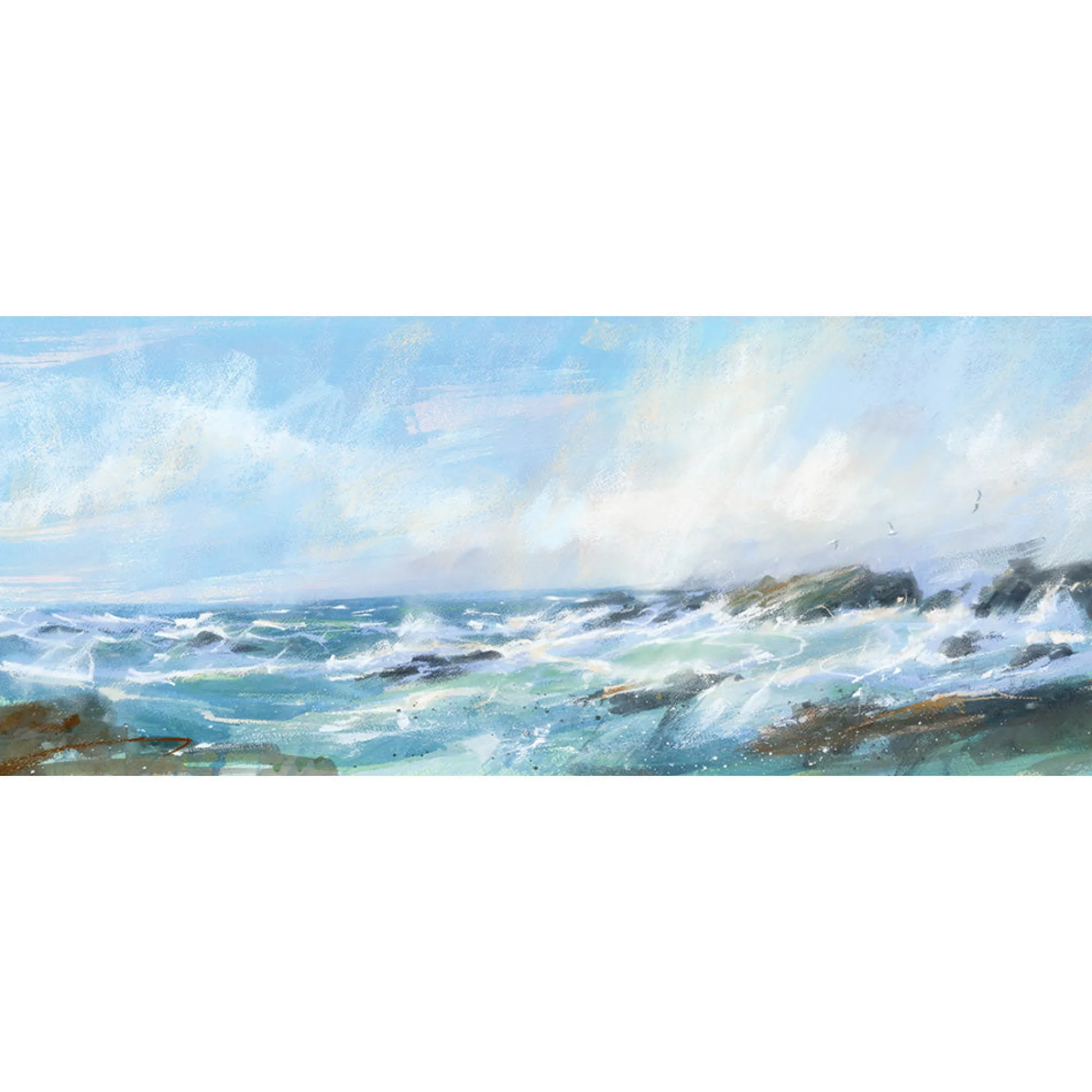 Unframed Prints*Whistlefish Terns Over The Point Art Print