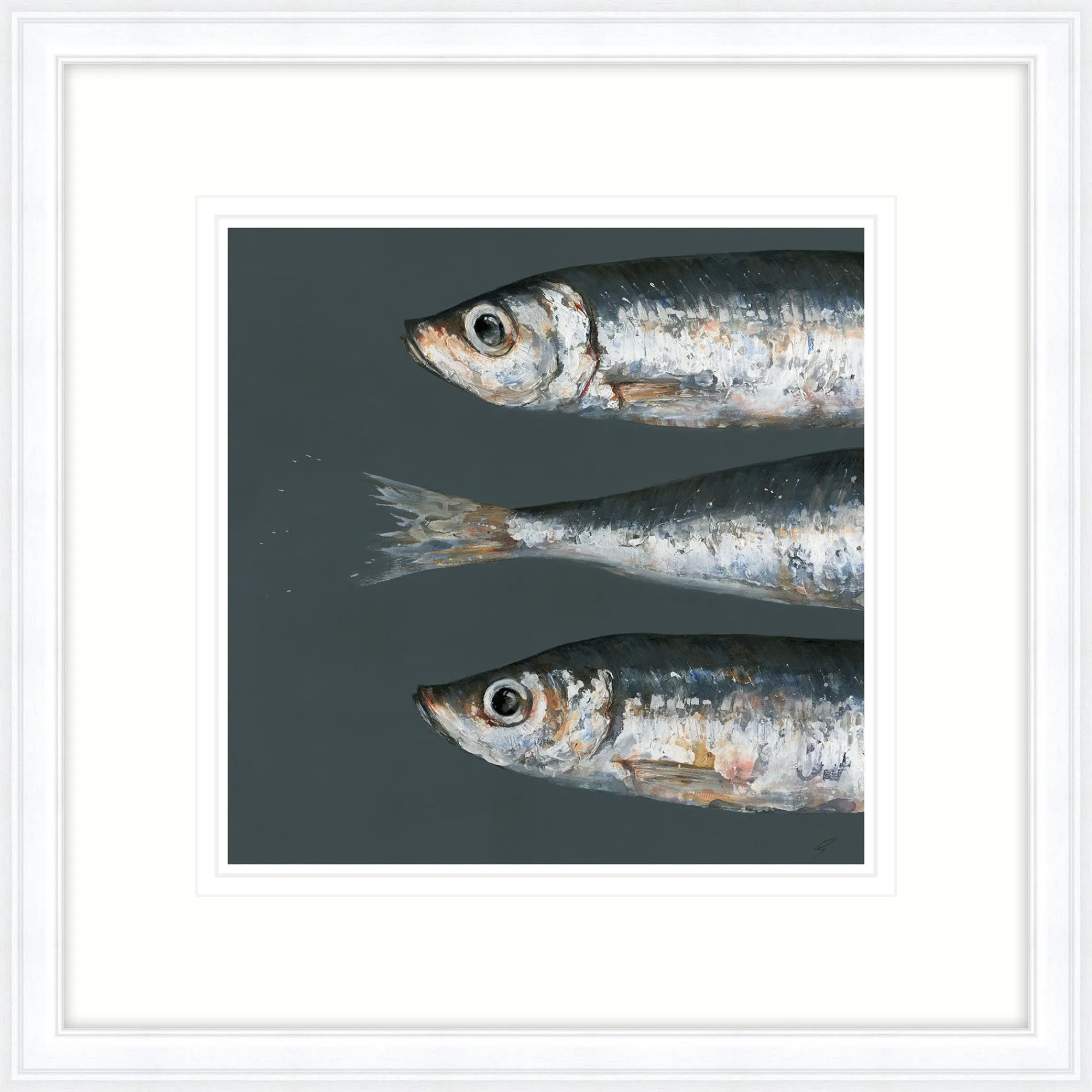 Animal|Framed Prints*Whistlefish Three Sprats Framed Print