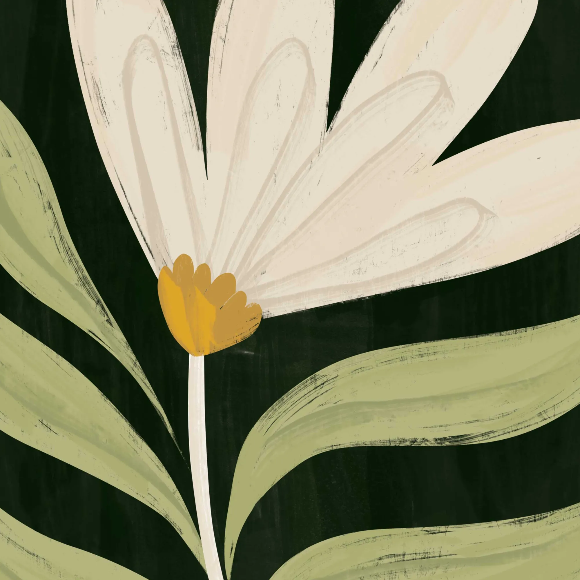 Floral & Flowers|Framed Prints*Whistlefish Verdant Daisy Framed Print