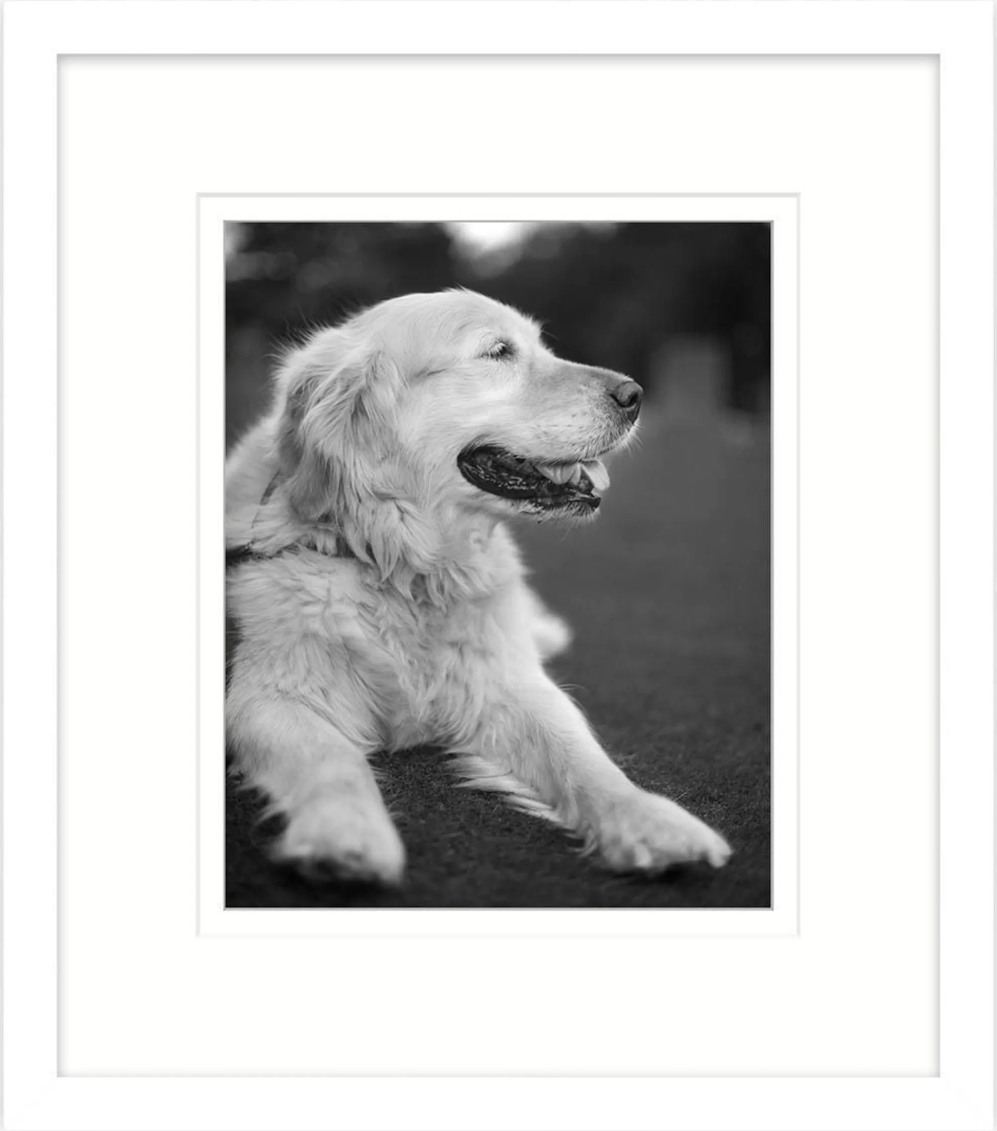 Pictures And Photo Frames|Picture & Photo Frames*Whistlefish White Picture Frame 20 x 16 Inch